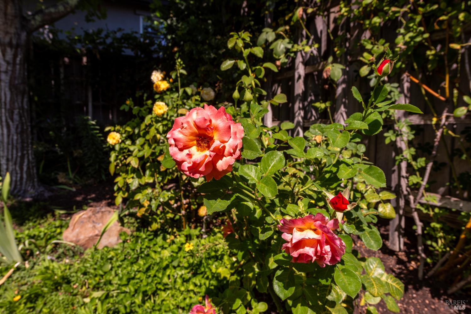 Detail Gallery Image 33 of 39 For 7518 Walnut Orchard Way, Santa Rosa,  CA 95409 - 3 Beds | 2 Baths
