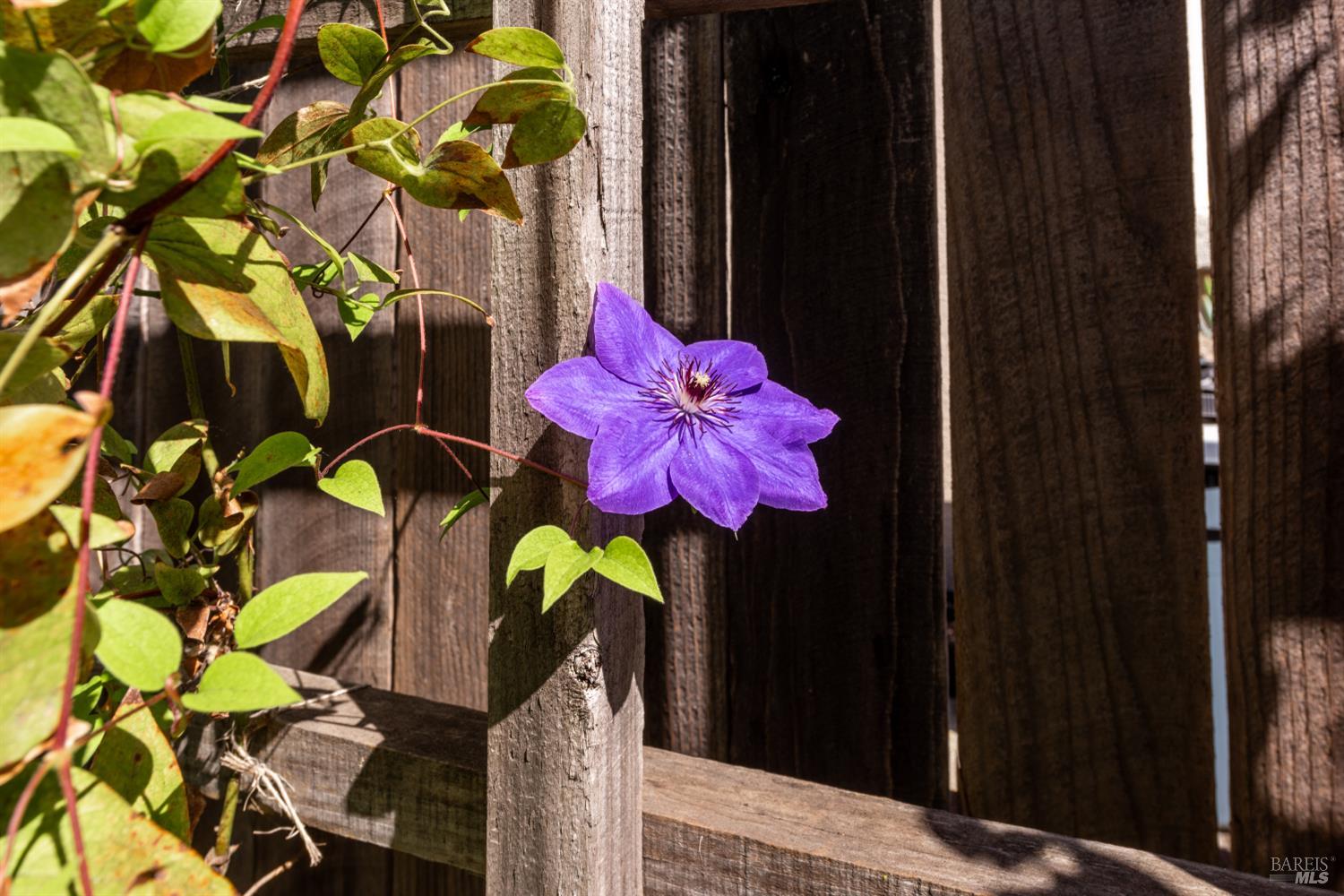 Detail Gallery Image 34 of 39 For 7518 Walnut Orchard Way, Santa Rosa,  CA 95409 - 3 Beds | 2 Baths