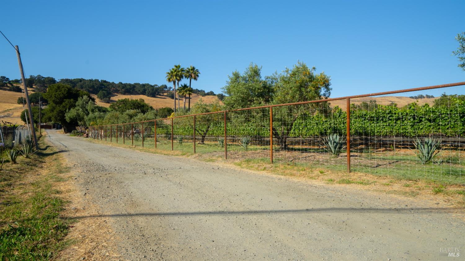 Detail Gallery Image 4 of 13 For 1920 N. Kelly Rd, Napa,  CA 94558 - – Beds | – Baths