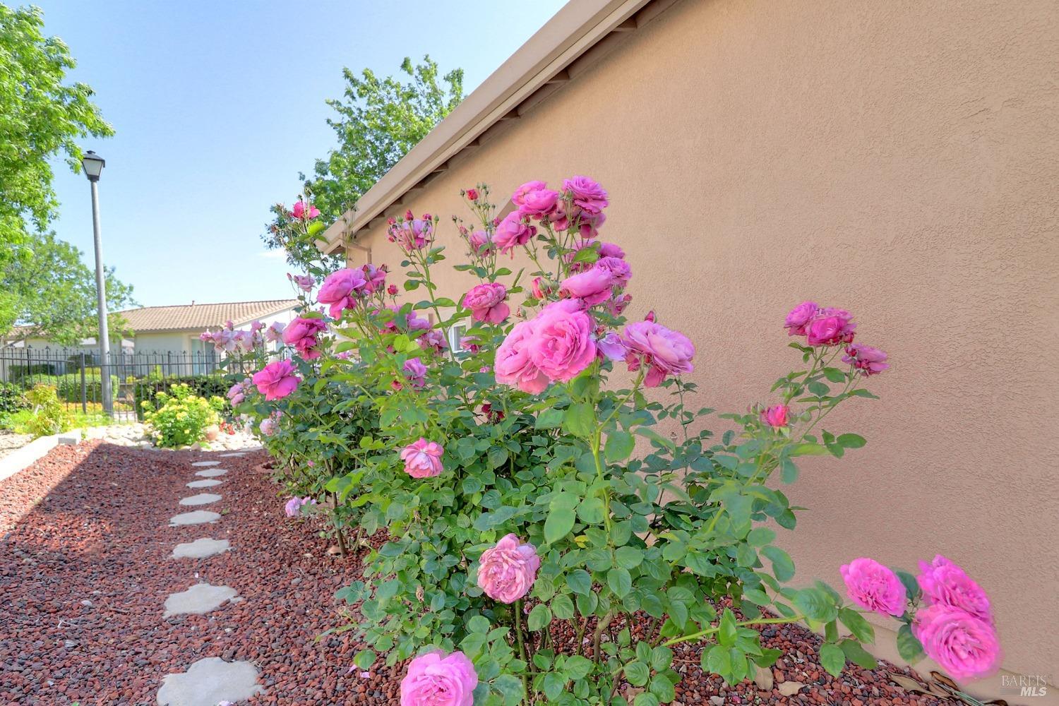 Detail Gallery Image 40 of 79 For 110 Foxwood Ln, Rio Vista,  CA 94571 - 2 Beds | 2 Baths