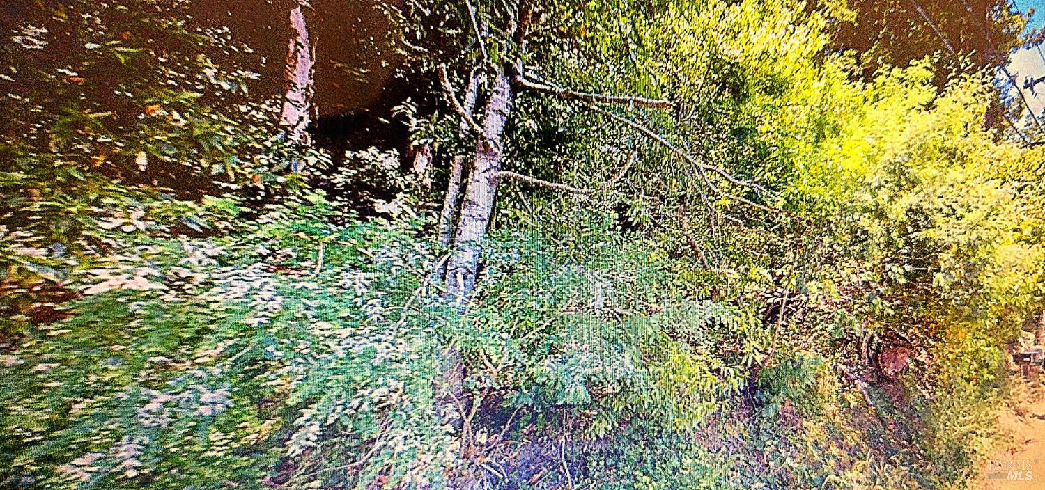 Detail Gallery Image 2 of 3 For 18355 Neeley Rd, Guerneville,  CA 95446 - – Beds | – Baths