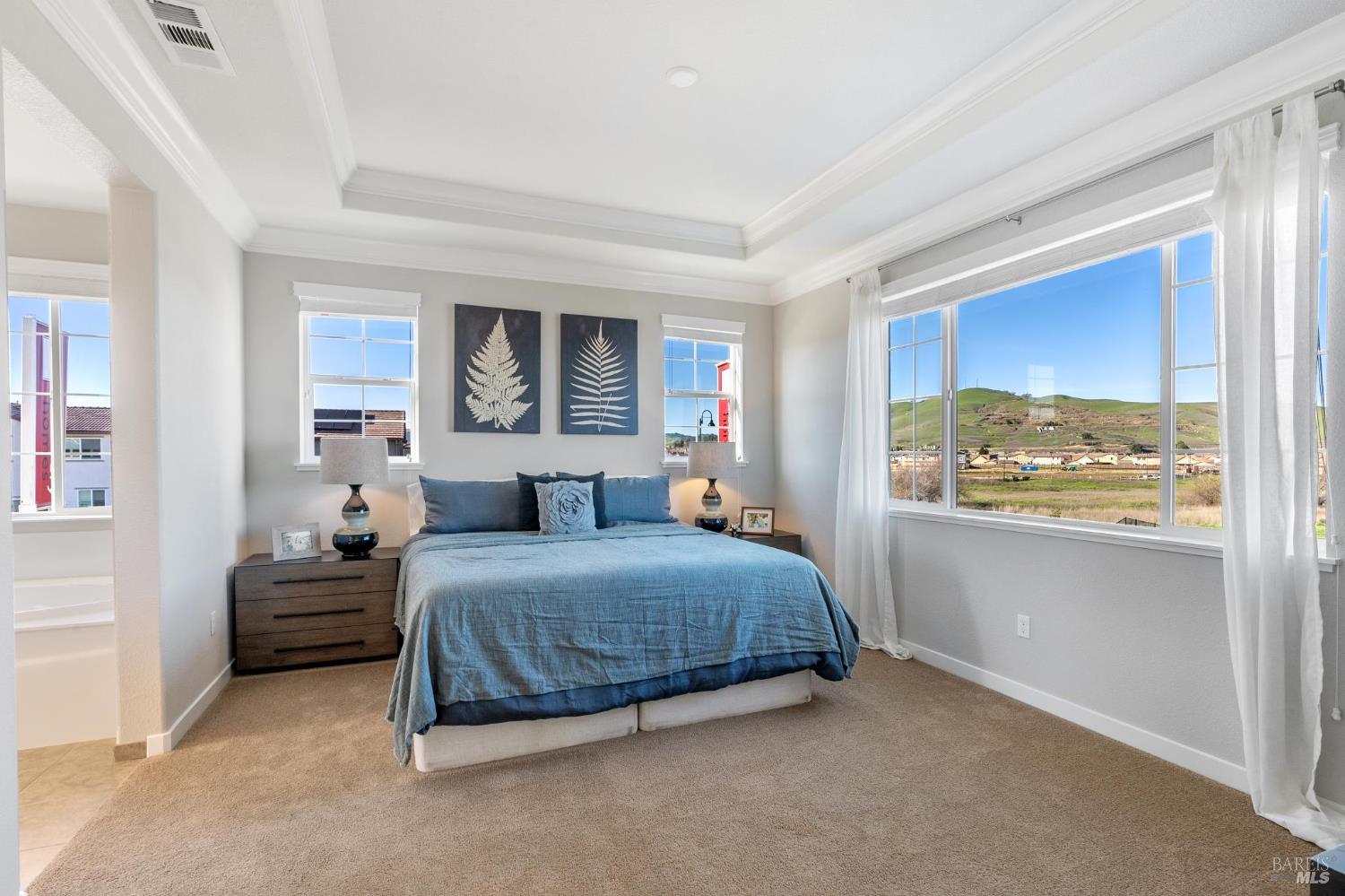 Detail Gallery Image 20 of 20 For 1465 Monument Ln, Fairfield,  CA 94533 - 3 Beds | 2/1 Baths