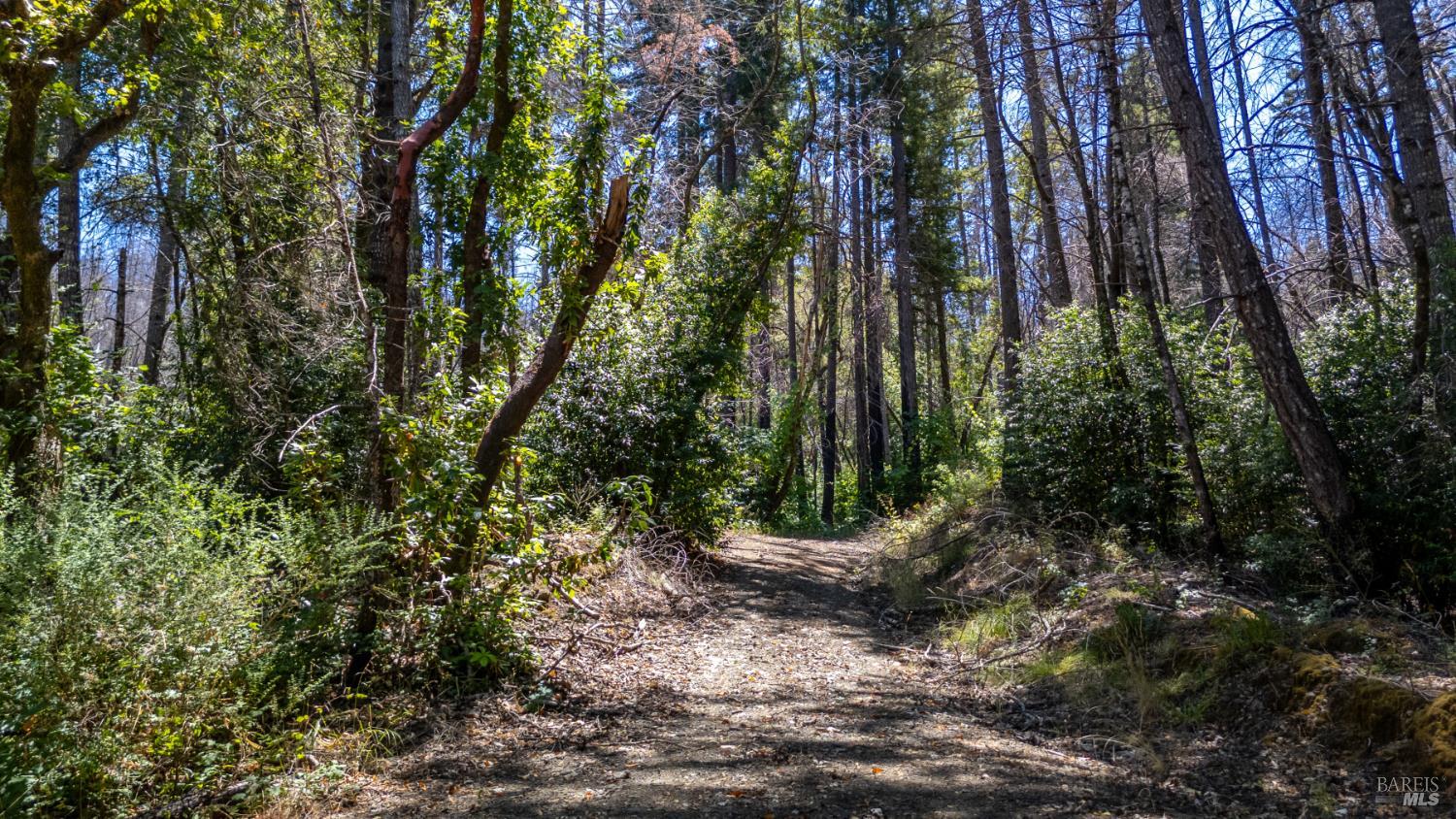 Detail Gallery Image 66 of 77 For 5364 Mill Creek Rd, Healdsburg,  CA 95448 - – Beds | – Baths