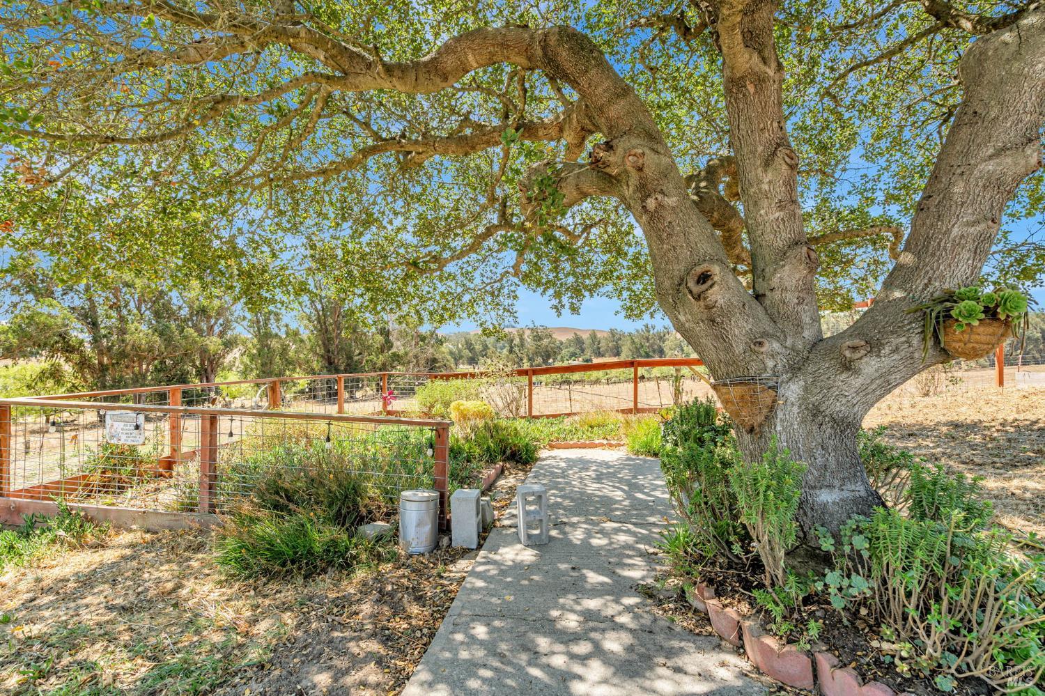 Detail Gallery Image 25 of 34 For 268 Eucalyptus Rd, Petaluma,  CA 94952 - 2 Beds | 2 Baths