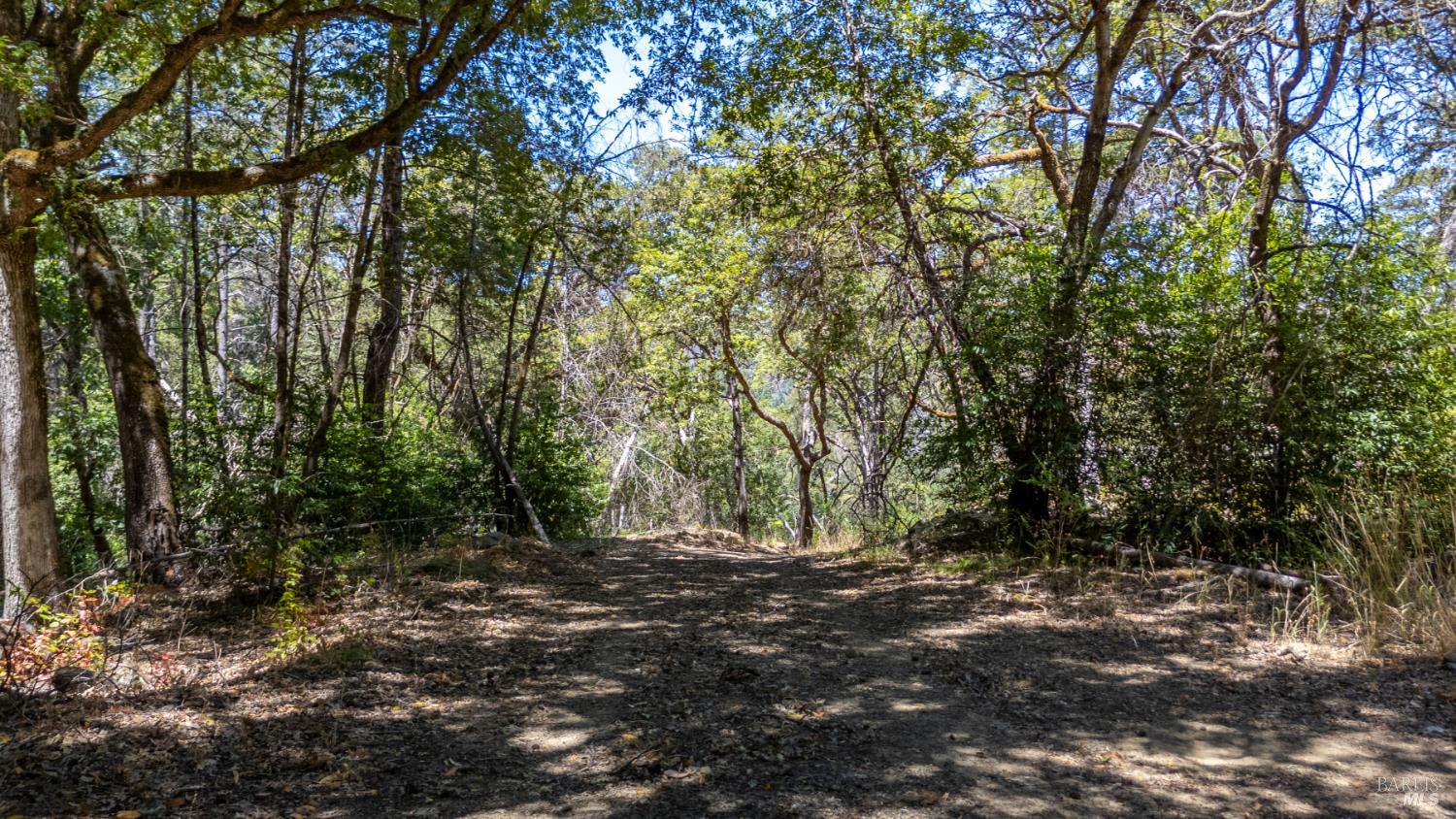 Detail Gallery Image 68 of 77 For 5364 Mill Creek Rd, Healdsburg,  CA 95448 - – Beds | – Baths