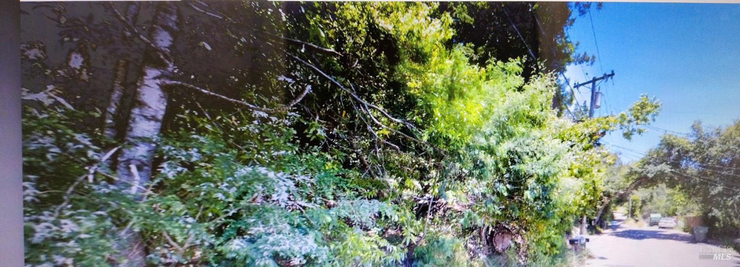 Detail Gallery Image 1 of 3 For 18355 Neeley Rd, Guerneville,  CA 95446 - – Beds | – Baths