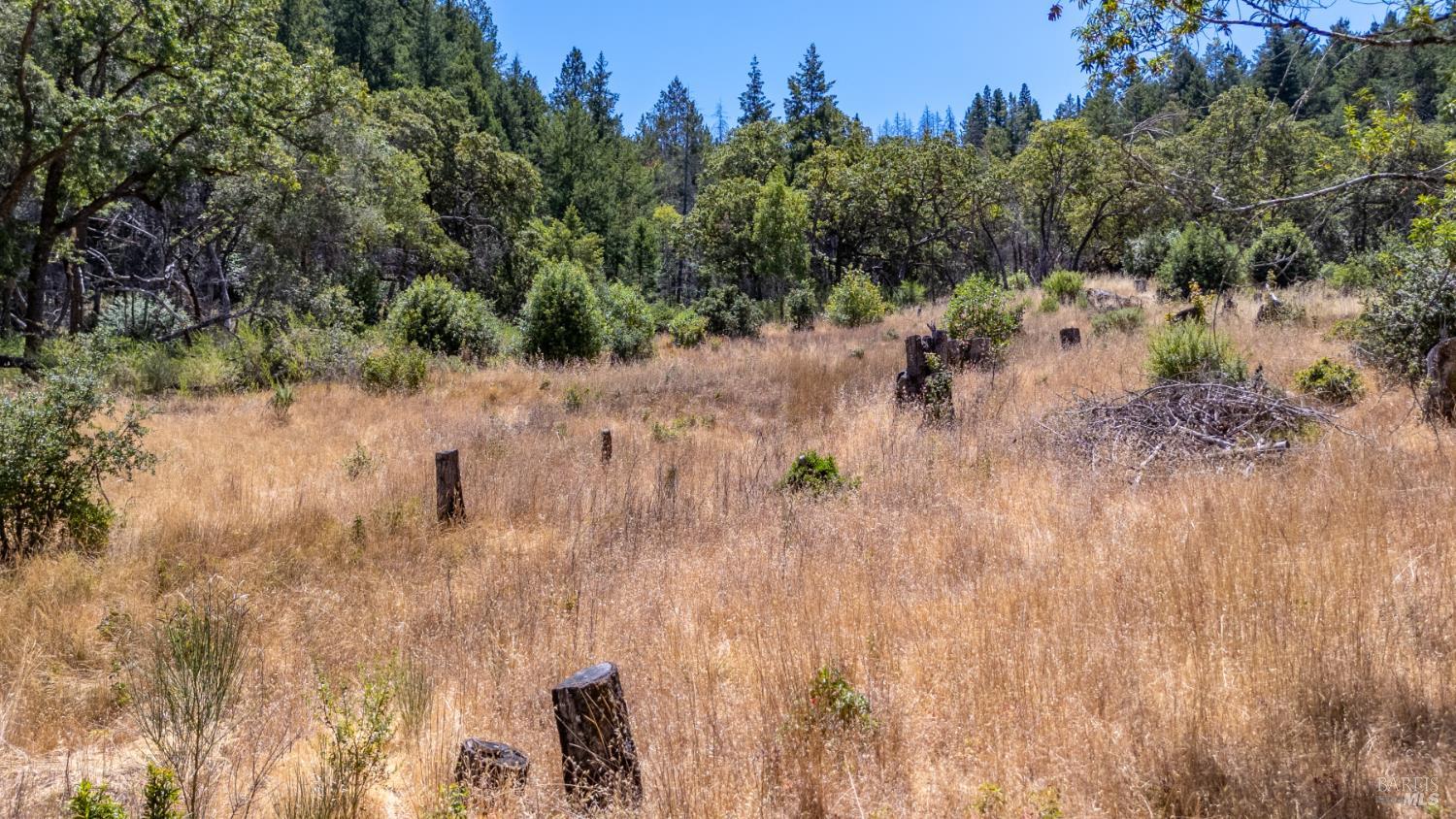 Detail Gallery Image 45 of 77 For 5364 Mill Creek Rd, Healdsburg,  CA 95448 - – Beds | – Baths