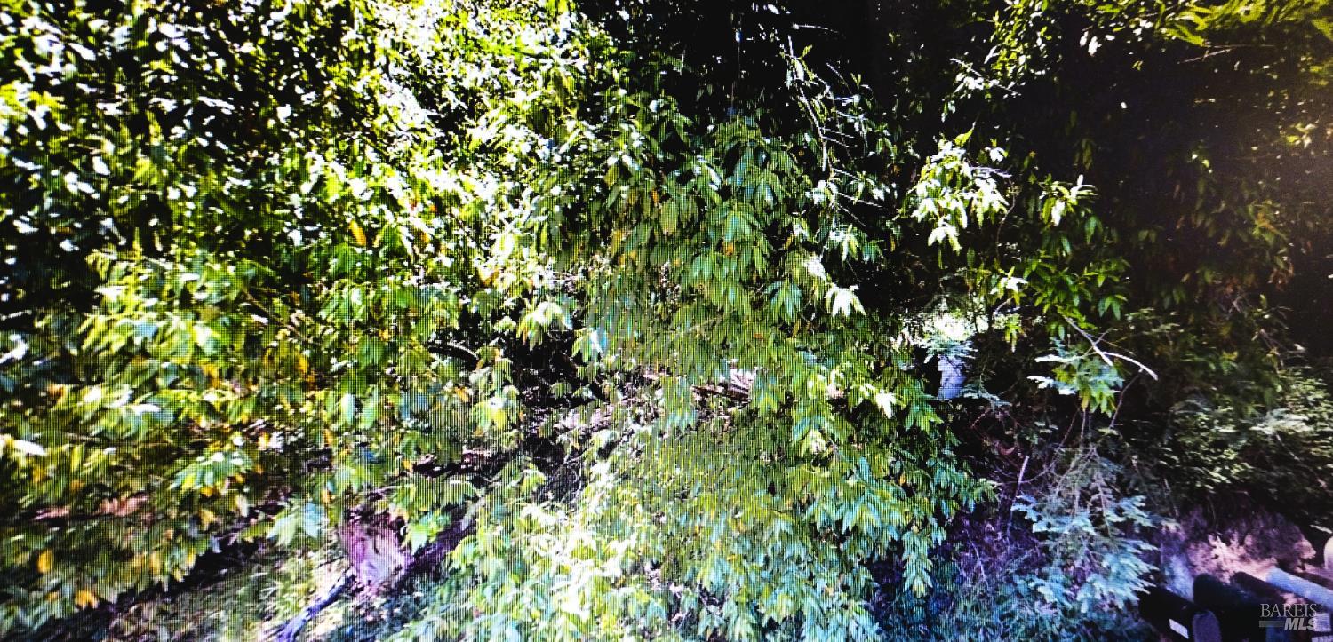 Detail Gallery Image 3 of 3 For 18355 Neeley Rd, Guerneville,  CA 95446 - – Beds | – Baths