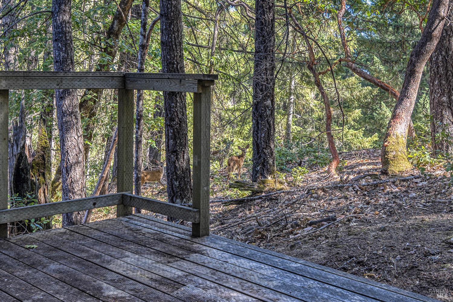 Detail Gallery Image 25 of 36 For 1561 Alcott Ln, Willits,  CA 95490 - 2 Beds | 2/1 Baths
