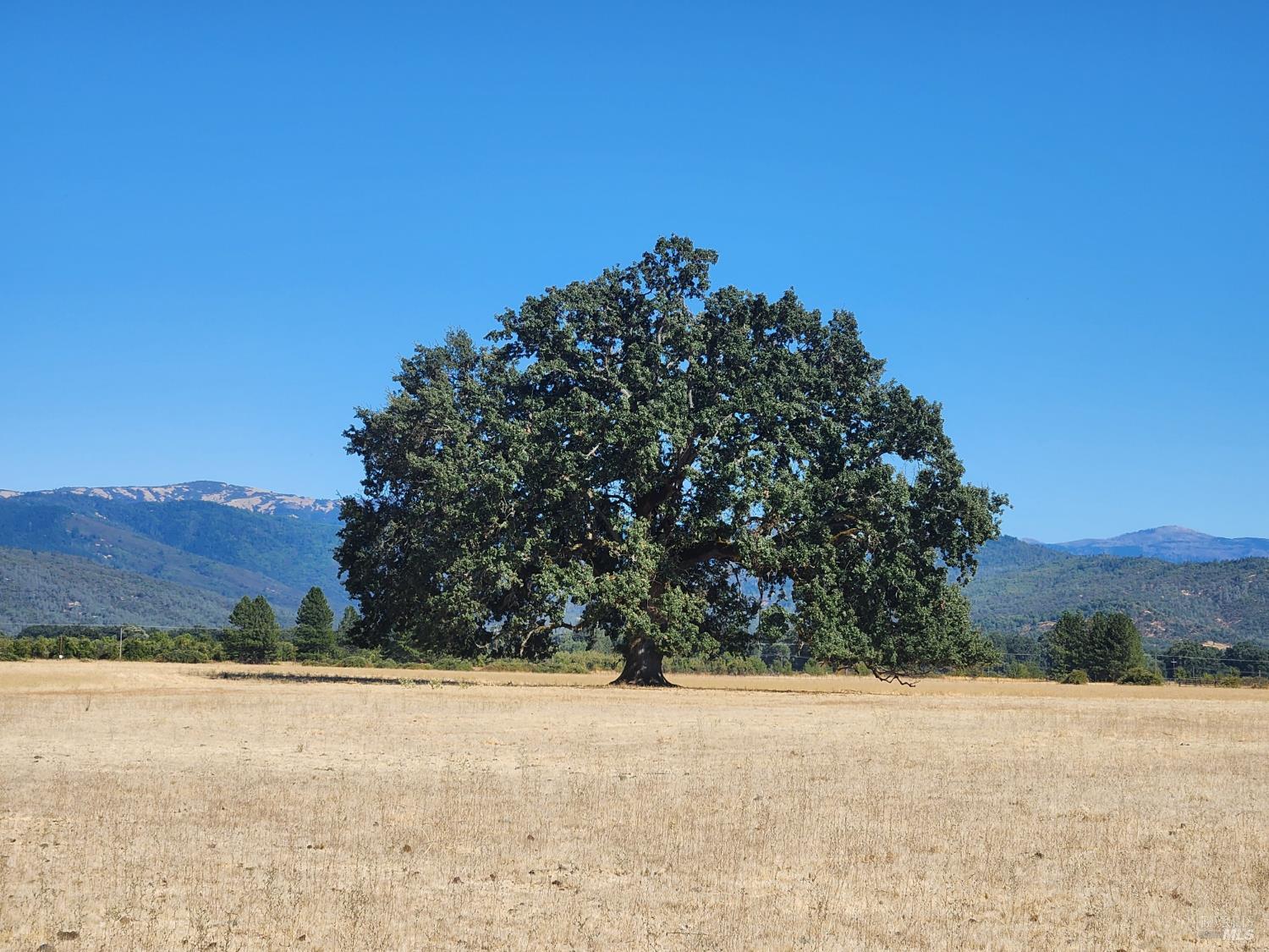 Detail Gallery Image 1 of 9 For 74200 Covelo Rd, Covelo,  CA 95428 - – Beds | – Baths