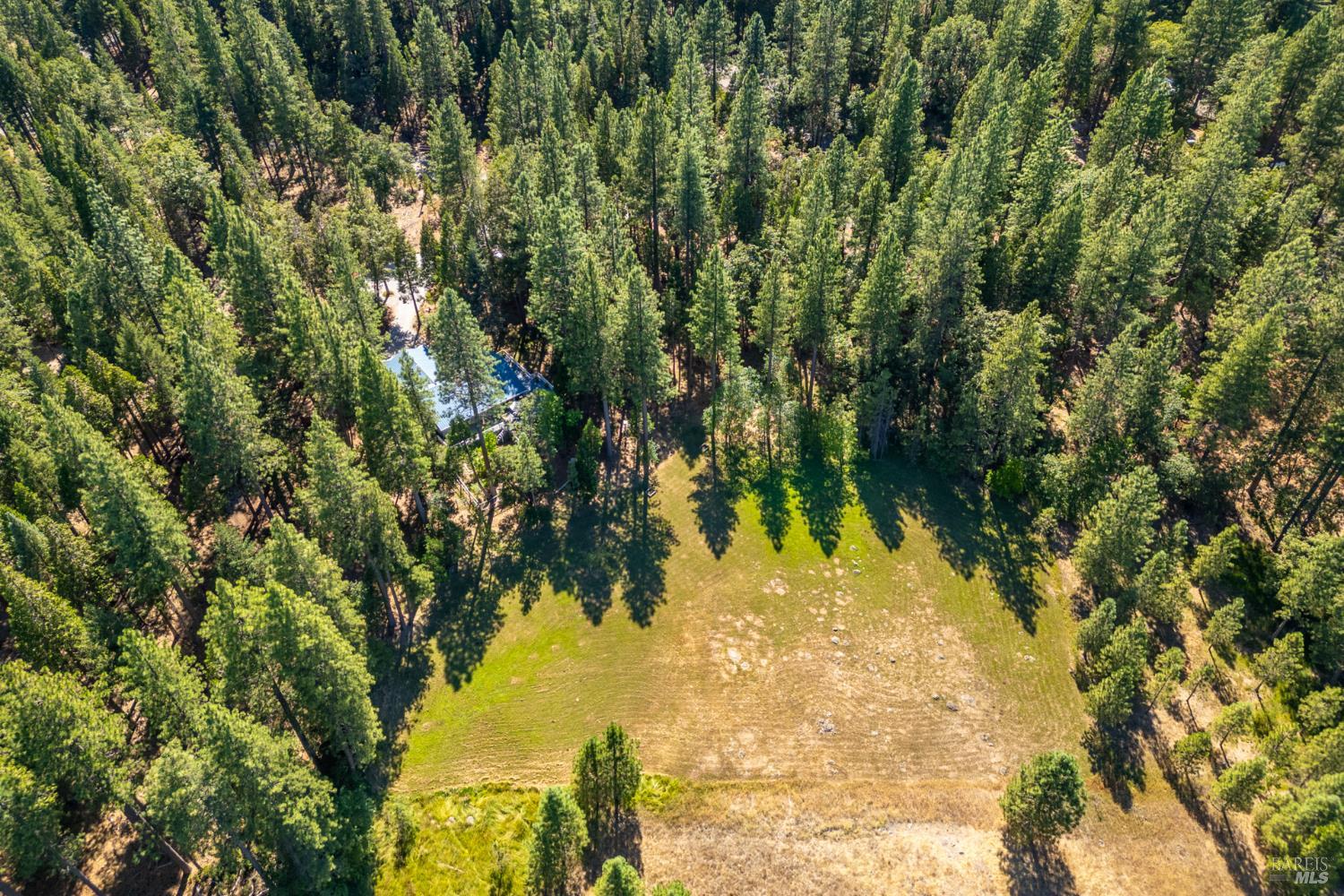 Detail Gallery Image 37 of 40 For 6919 Wilson Hill Rd, Shingletown,  CA 96088 - 3 Beds | 2 Baths