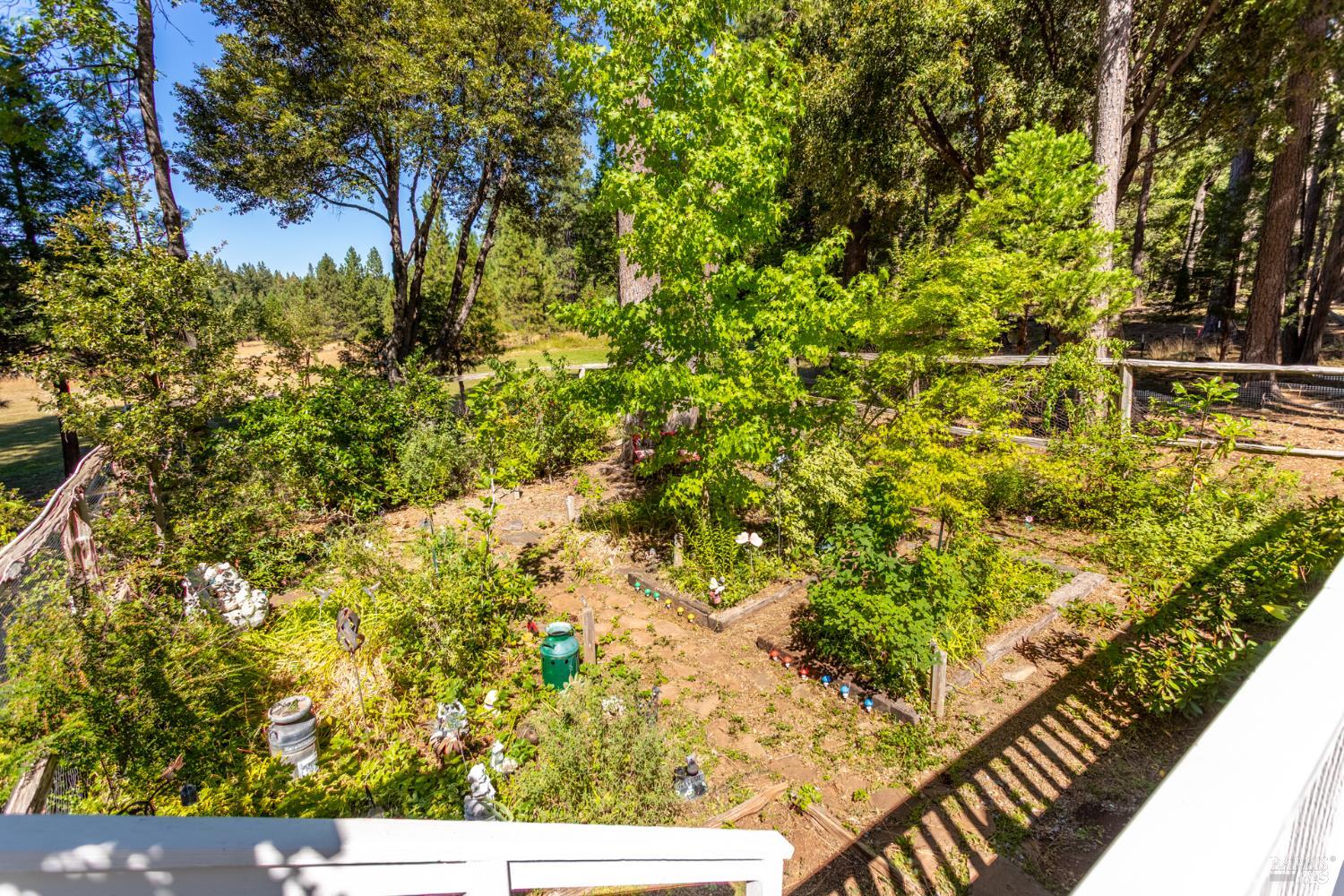 Detail Gallery Image 32 of 40 For 6919 Wilson Hill Rd, Shingletown,  CA 96088 - 3 Beds | 2 Baths