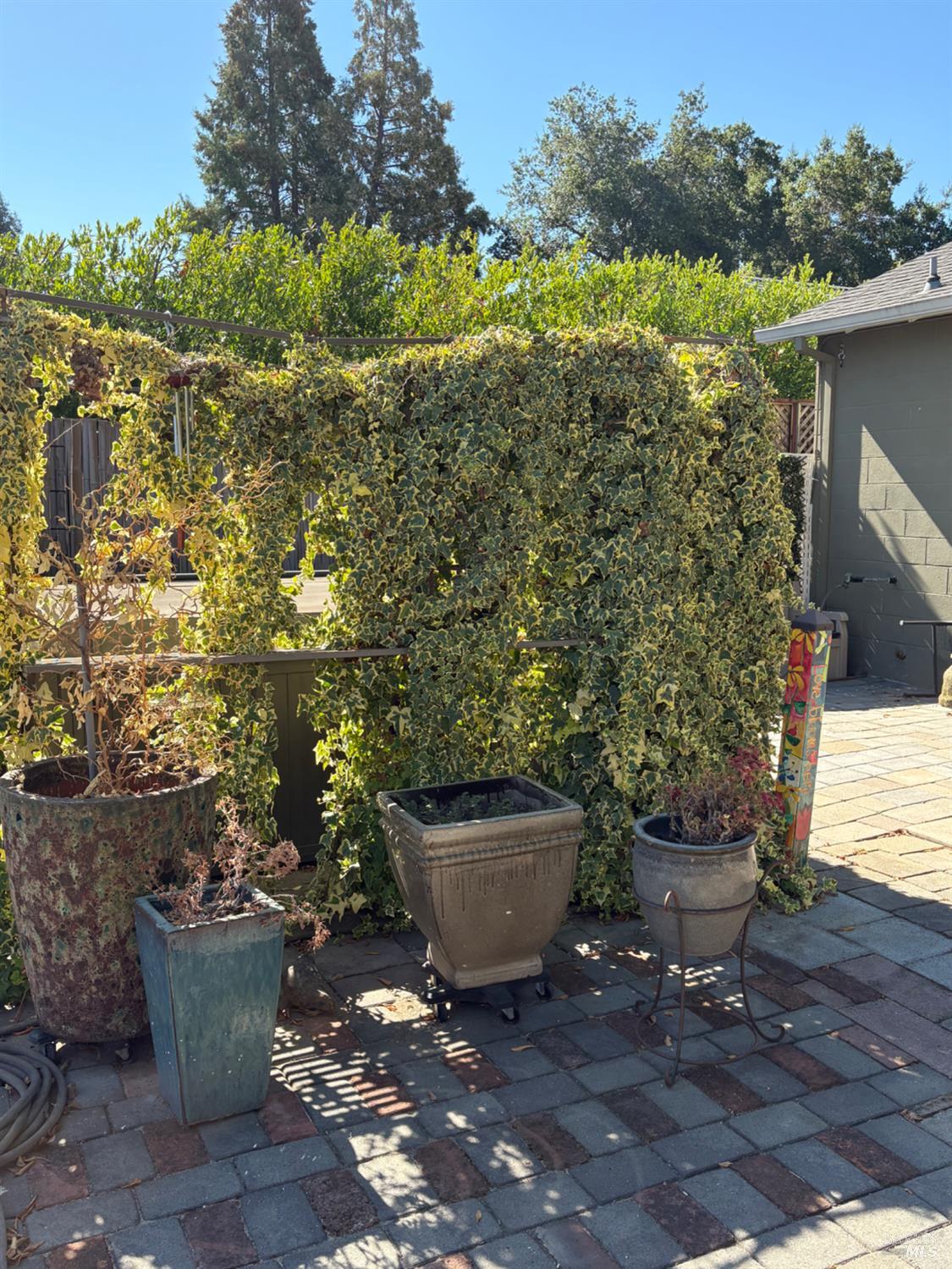 Detail Gallery Image 35 of 36 For 1565 Pine St, Saint Helena,  CA 94574 - 2 Beds | 2 Baths