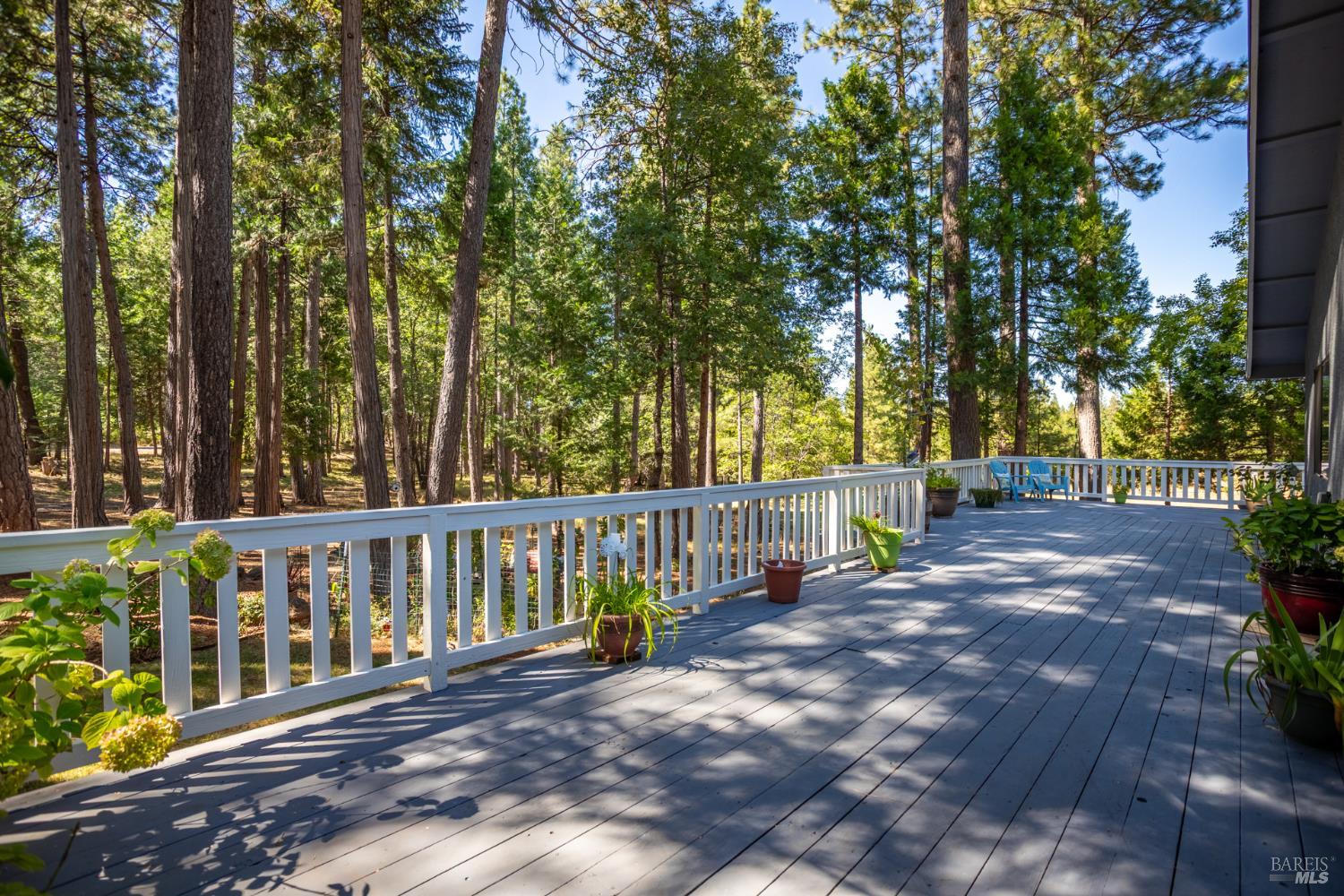 Detail Gallery Image 24 of 40 For 6919 Wilson Hill Rd, Shingletown,  CA 96088 - 3 Beds | 2 Baths