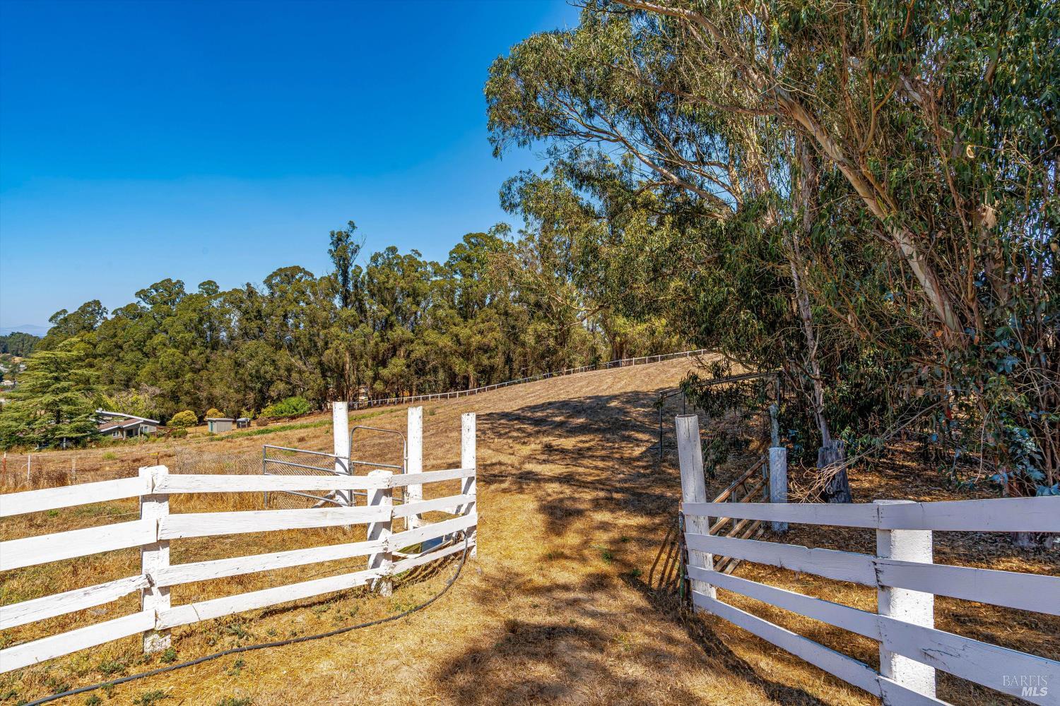 Detail Gallery Image 4 of 87 For 411 Highland Ave, Penngrove,  CA 94951 - 6 Beds | 5/1 Baths