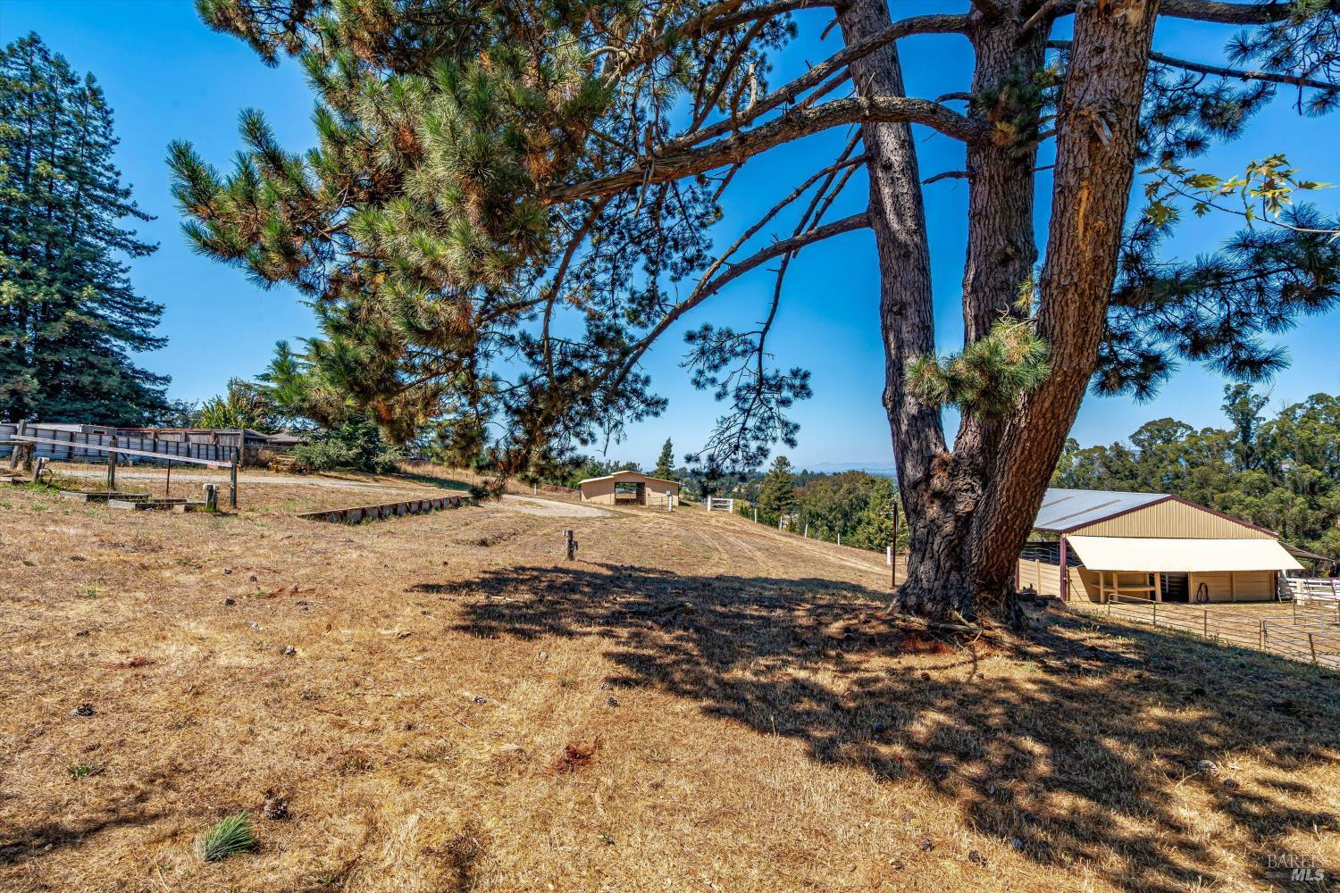 Detail Gallery Image 58 of 87 For 411 Highland Ave, Penngrove,  CA 94951 - 6 Beds | 5/1 Baths