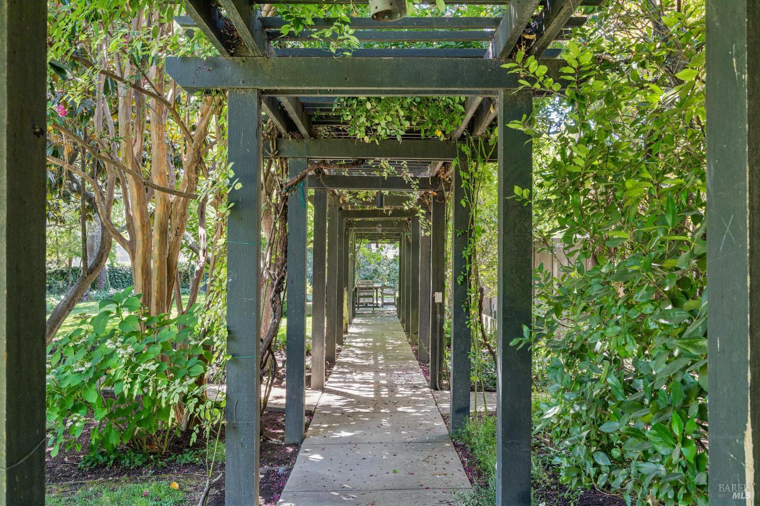 Detail Gallery Image 77 of 80 For 1819 Zinfandel Ln, Saint Helena,  CA 94574 - 3 Beds | 3/1 Baths