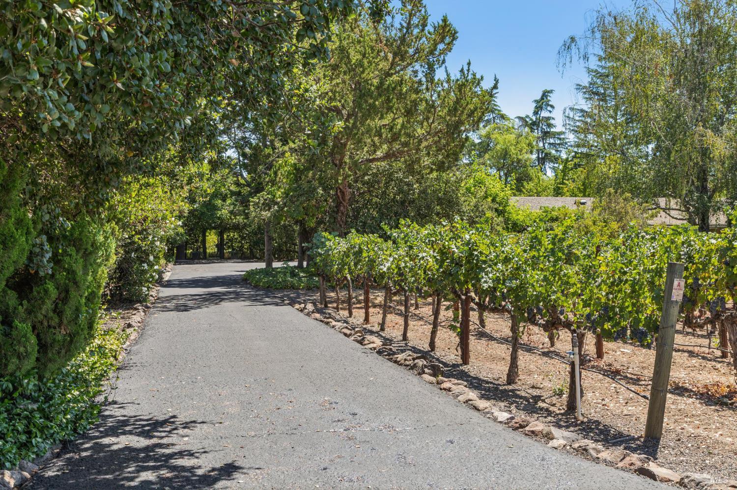 Detail Gallery Image 68 of 80 For 1819 Zinfandel Ln, Saint Helena,  CA 94574 - 3 Beds | 3/1 Baths