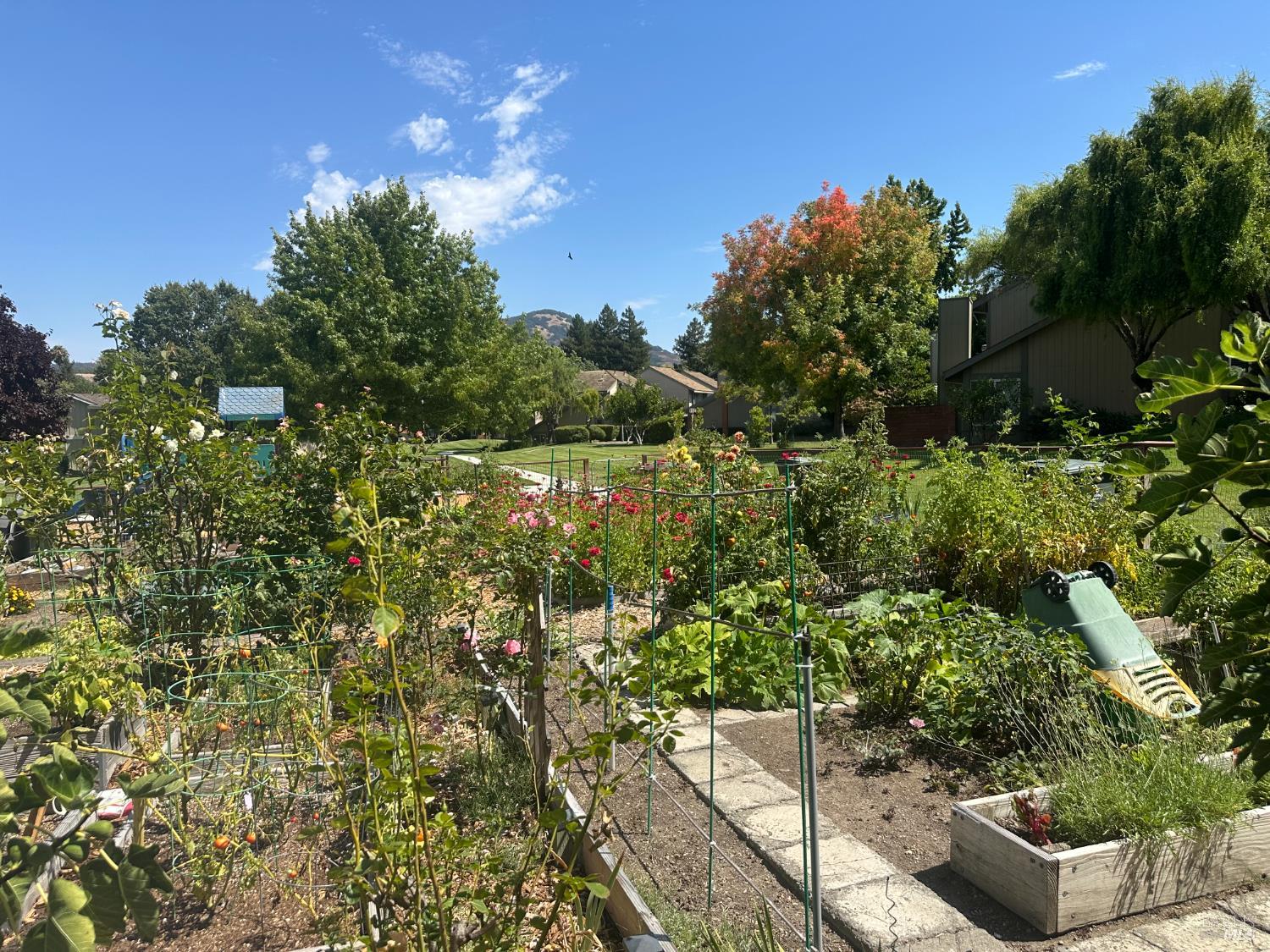 Detail Gallery Image 26 of 32 For 2520 Lakeview Dr, Santa Rosa,  CA 95405 - 3 Beds | 2 Baths