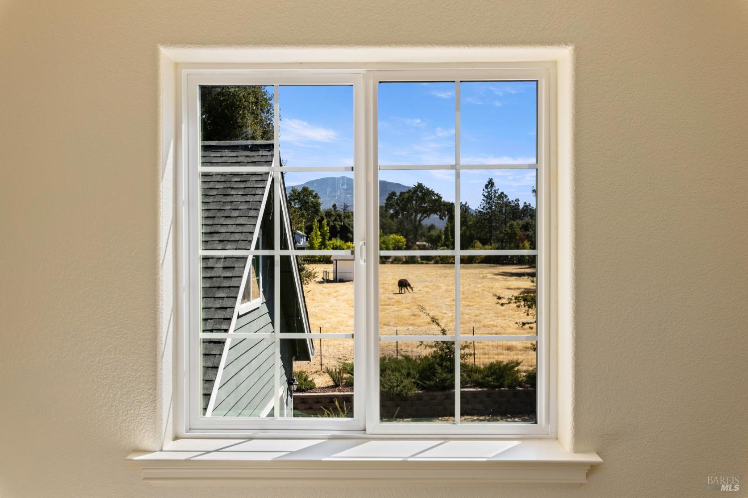 Detail Gallery Image 30 of 76 For 2855 Bell Hill Rd, Kelseyville,  CA 95451 - 3 Beds | 2 Baths