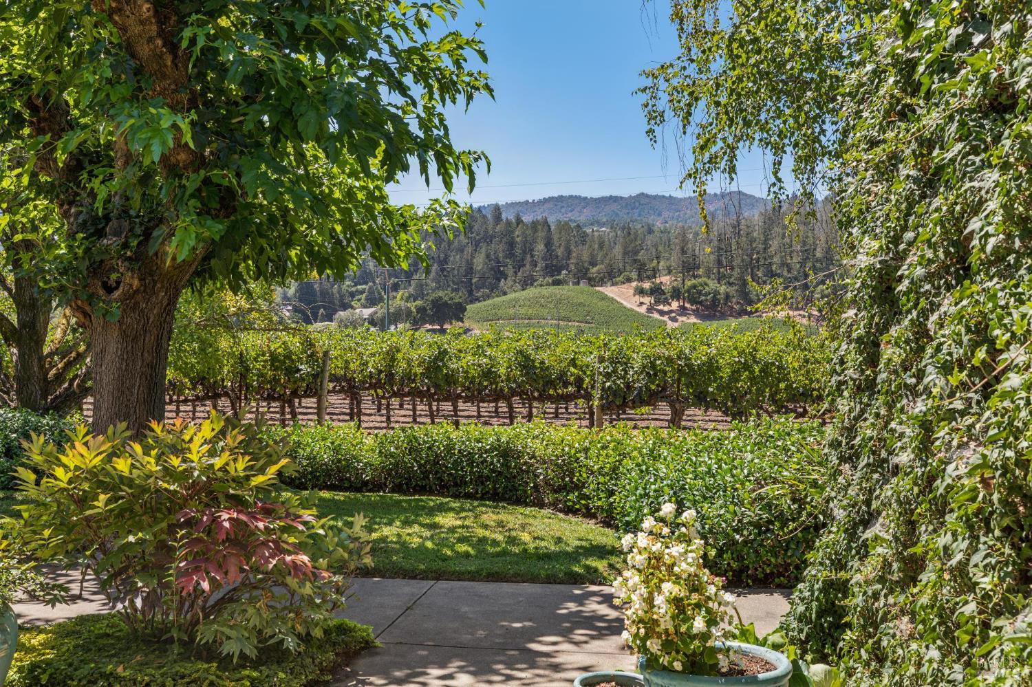 Detail Gallery Image 40 of 80 For 1819 Zinfandel Ln, Saint Helena,  CA 94574 - 3 Beds | 3/1 Baths