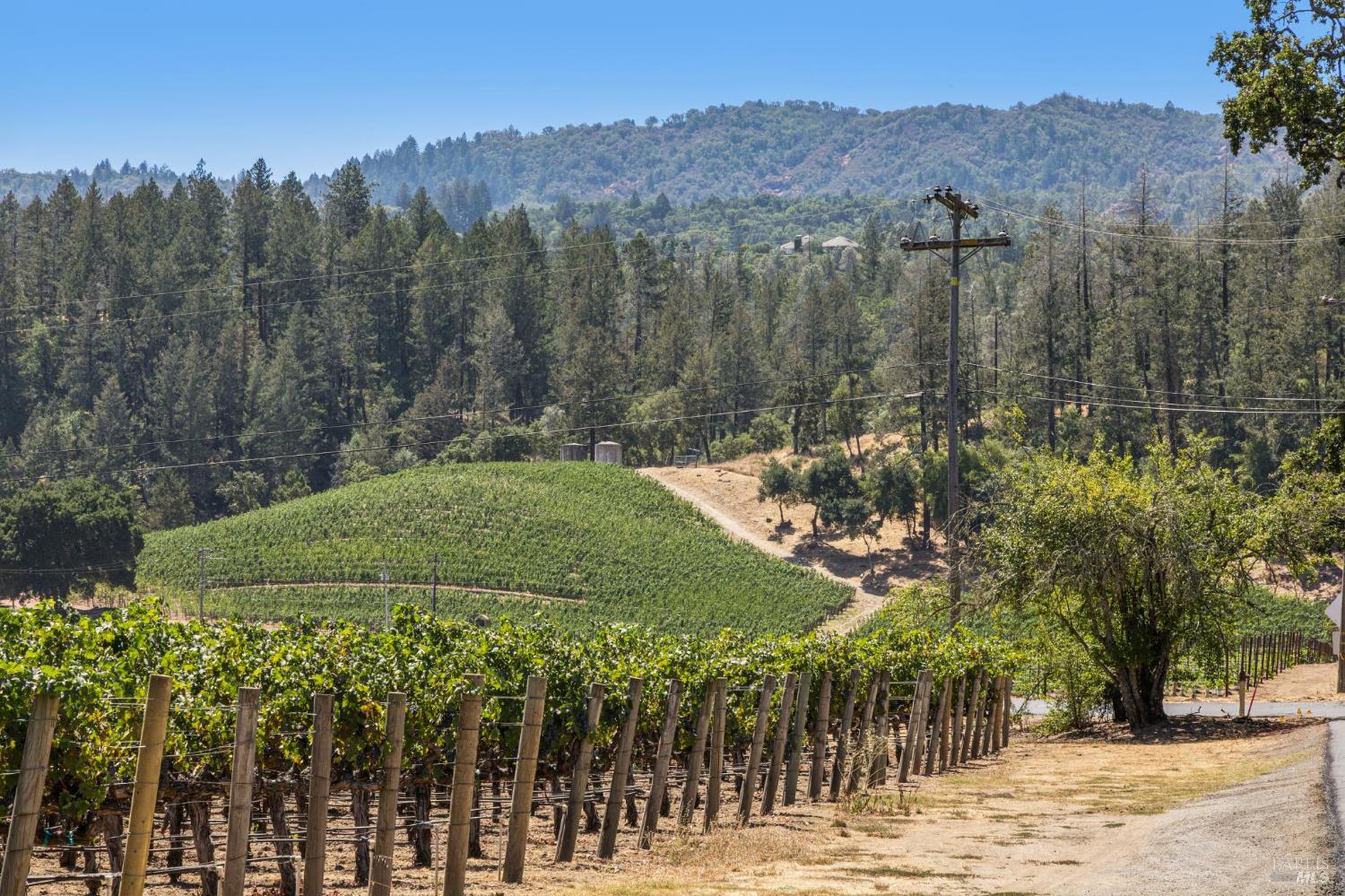 Detail Gallery Image 69 of 80 For 1819 Zinfandel Ln, Saint Helena,  CA 94574 - 3 Beds | 3/1 Baths