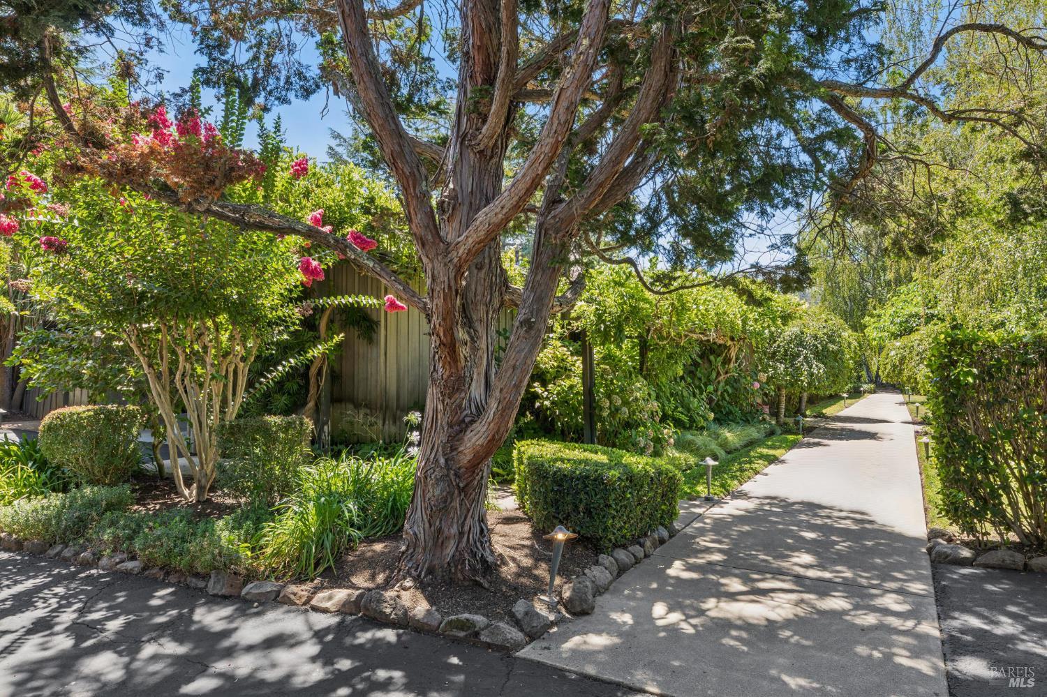 Detail Gallery Image 61 of 80 For 1819 Zinfandel Ln, Saint Helena,  CA 94574 - 3 Beds | 3/1 Baths