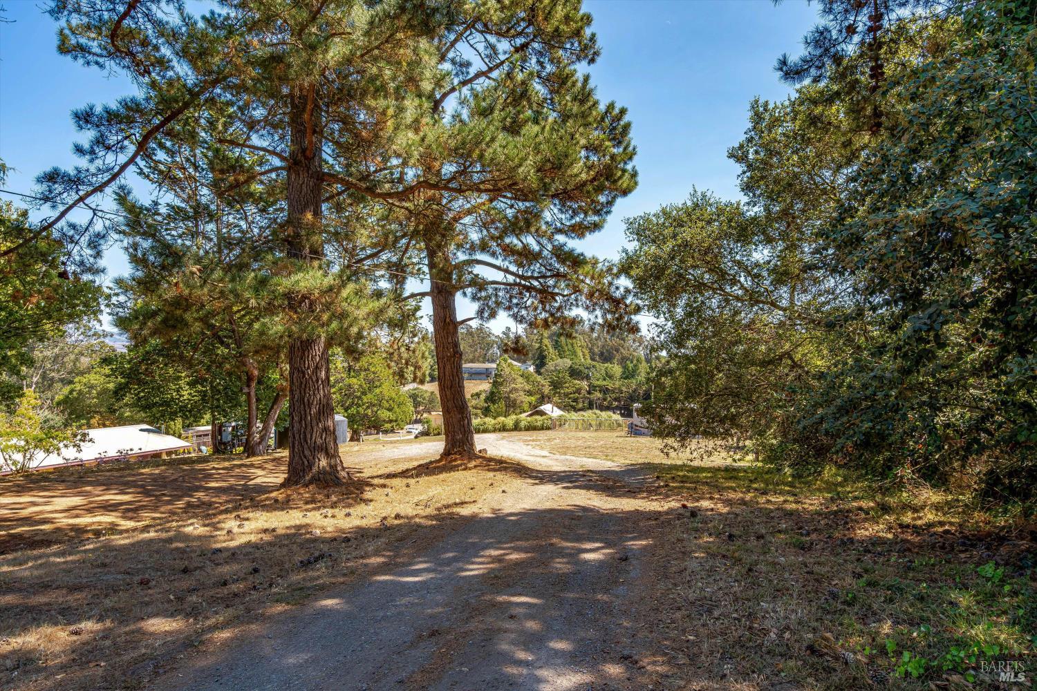 Detail Gallery Image 60 of 87 For 411 Highland Ave, Penngrove,  CA 94951 - 6 Beds | 5/1 Baths