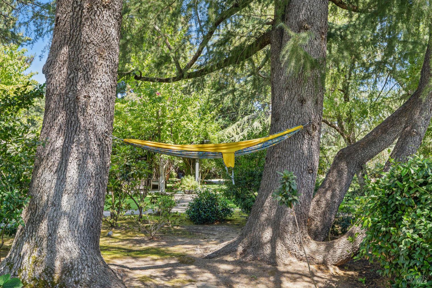 Detail Gallery Image 64 of 80 For 1819 Zinfandel Ln, Saint Helena,  CA 94574 - 3 Beds | 3/1 Baths