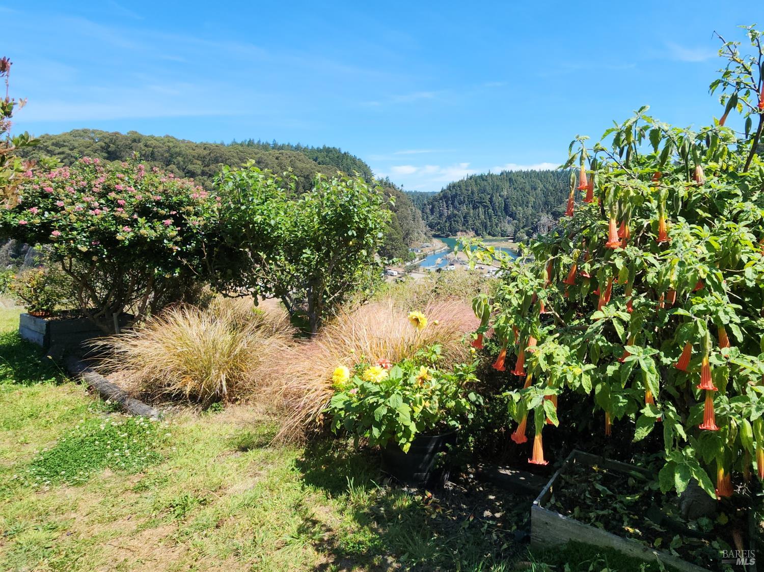 Detail Gallery Image 29 of 33 For 33890 Albion River South Side Rd, Albion,  CA 95410 - 2 Beds | 2 Baths
