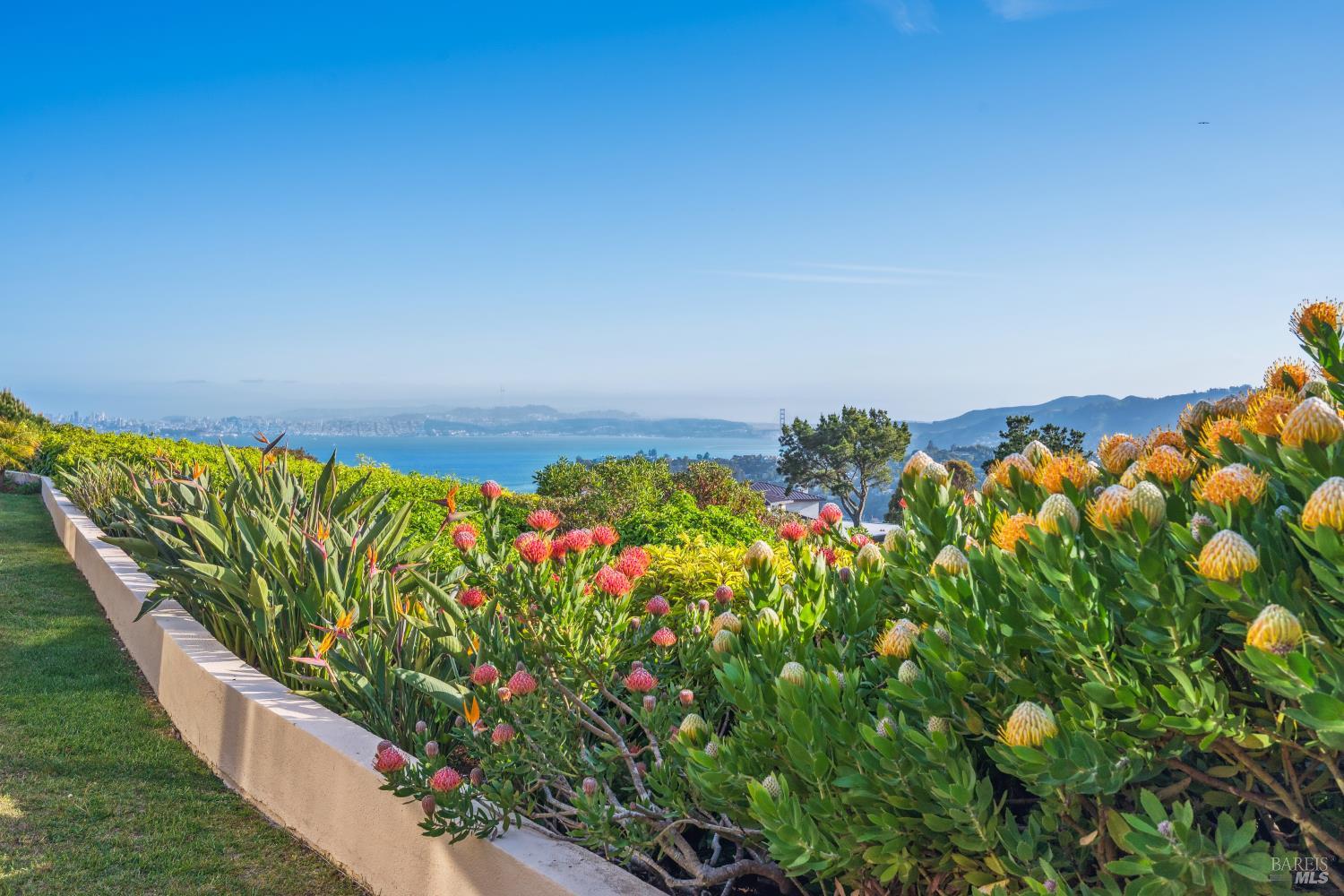 Detail Gallery Image 43 of 48 For 6 Saint Gabrielle Ct, Tiburon,  CA 94920 - 4 Beds | 3/1 Baths