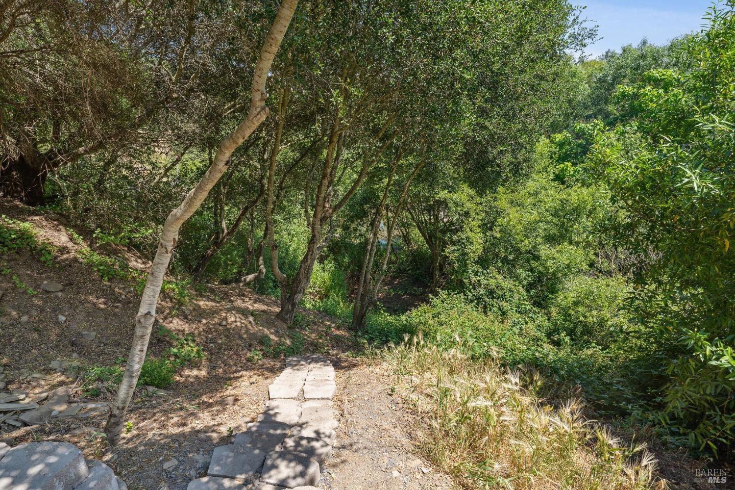 Detail Gallery Image 47 of 59 For 4880 Warm Springs Rd, Glen Ellen,  CA 95442 - 5 Beds | 3/1 Baths
