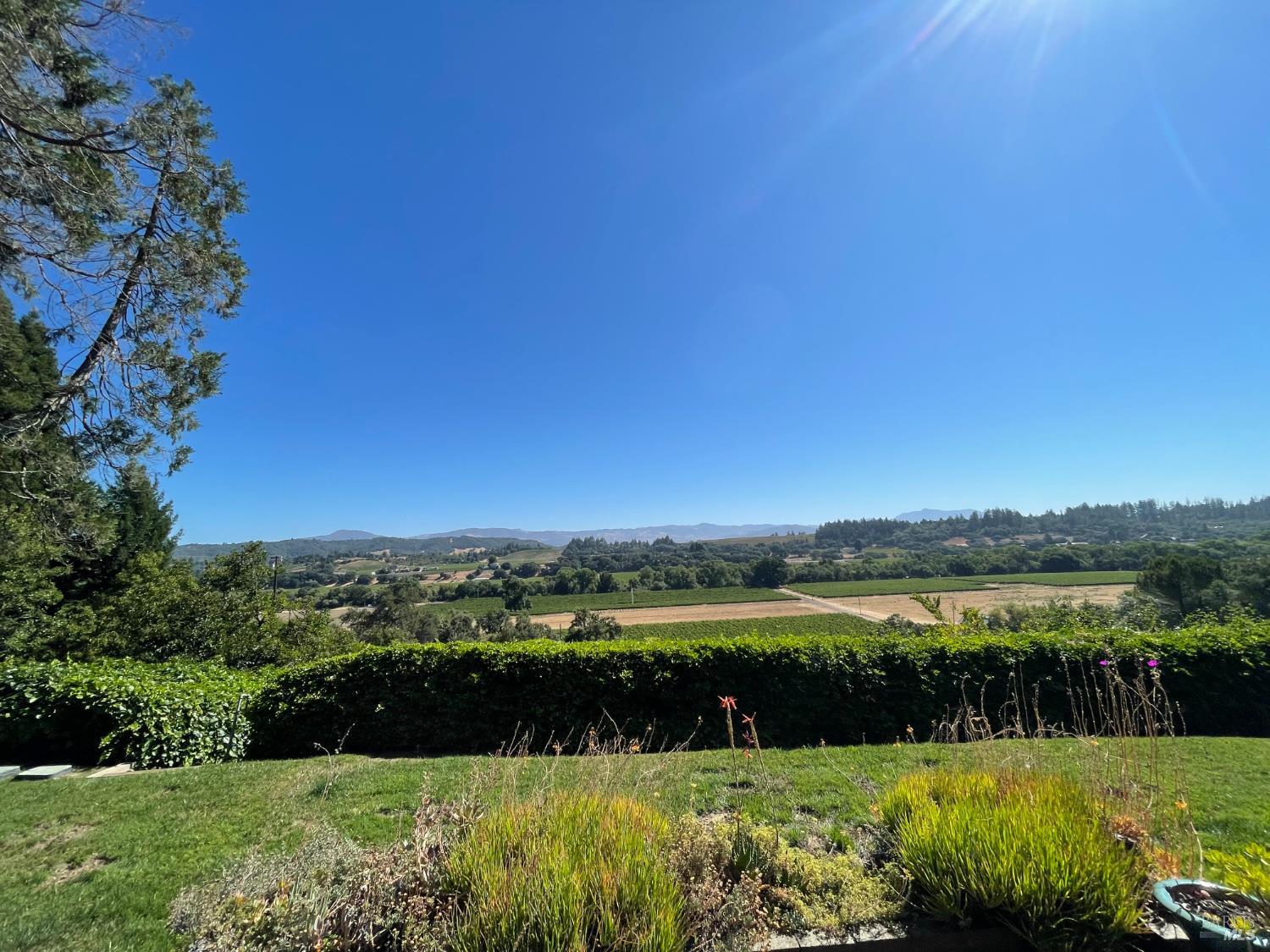 Detail Gallery Image 14 of 44 For 3025 W Dry Creek Rd, Healdsburg,  CA 95448 - 3 Beds | 3 Baths