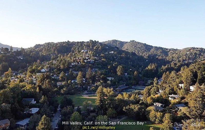 Detail Gallery Image 12 of 12 For 0 Shoreline Hwy, Mill Valley,  CA 94941 - – Beds | – Baths