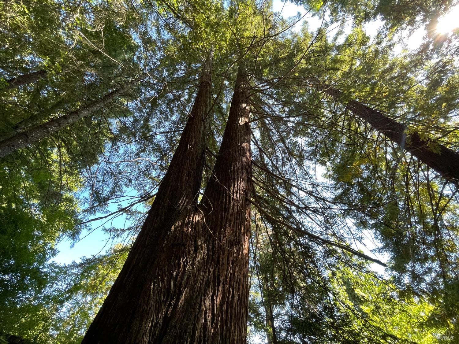 Detail Gallery Image 43 of 44 For 3025 W Dry Creek Rd, Healdsburg,  CA 95448 - 3 Beds | 3 Baths