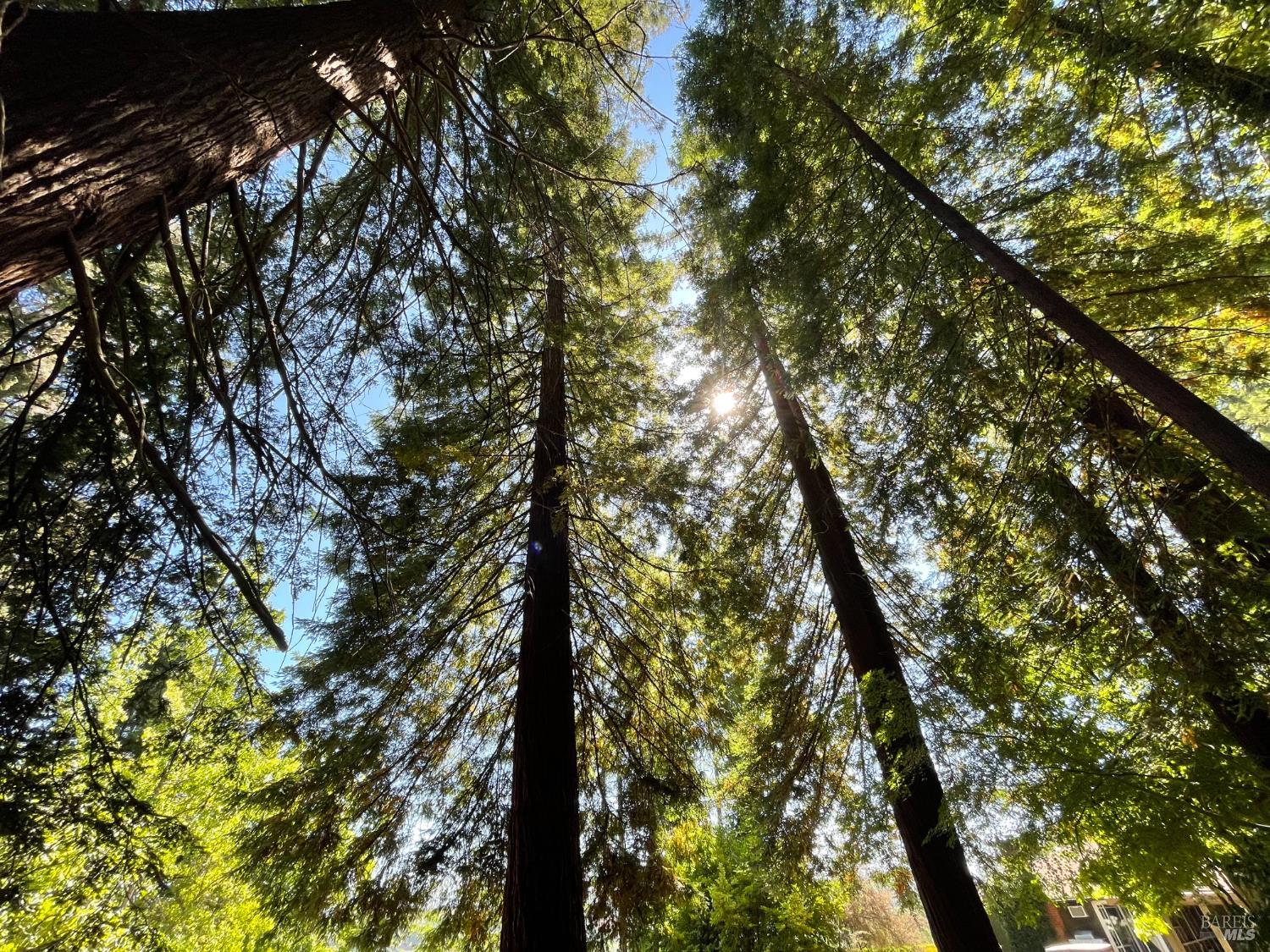 Detail Gallery Image 44 of 44 For 3025 W Dry Creek Rd, Healdsburg,  CA 95448 - 3 Beds | 3 Baths