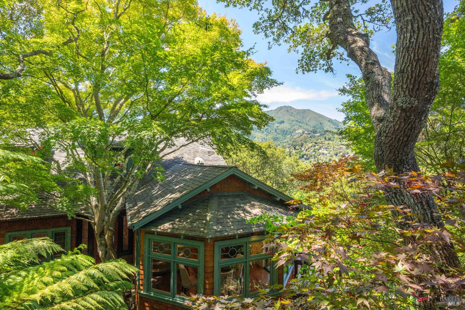 Detail Gallery Image 62 of 64 For 38 Helens Ln, Mill Valley,  CA 94941 - 4 Beds | 3/1 Baths