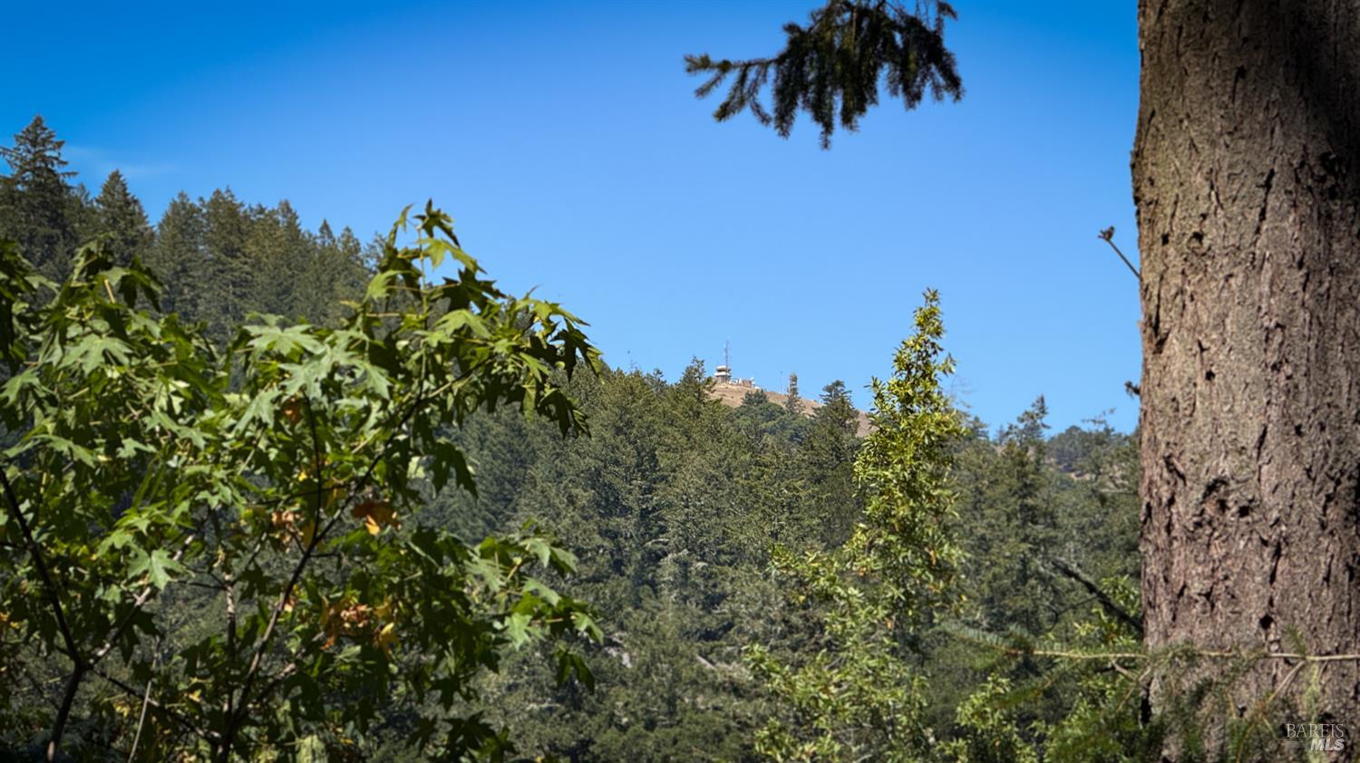 Detail Gallery Image 8 of 27 For 15 Mountain View Ave, Lagunitas,  CA 94938 - 2 Beds | 1 Baths