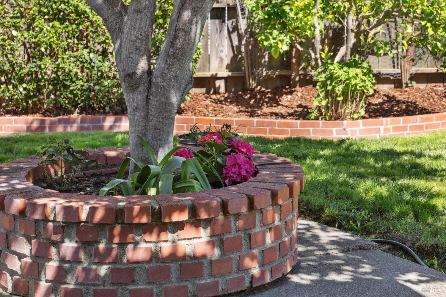 Detail Gallery Image 15 of 19 For 1432 Dawes St, Novato,  CA 94947 - 3 Beds | 2 Baths