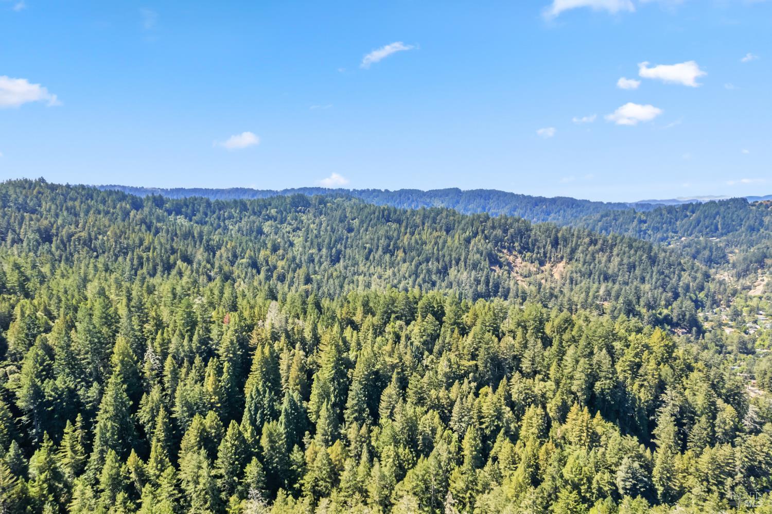 Detail Gallery Image 44 of 53 For 51 Juniper Ave, San Geronimo,  CA 94963 - 4 Beds | 3 Baths