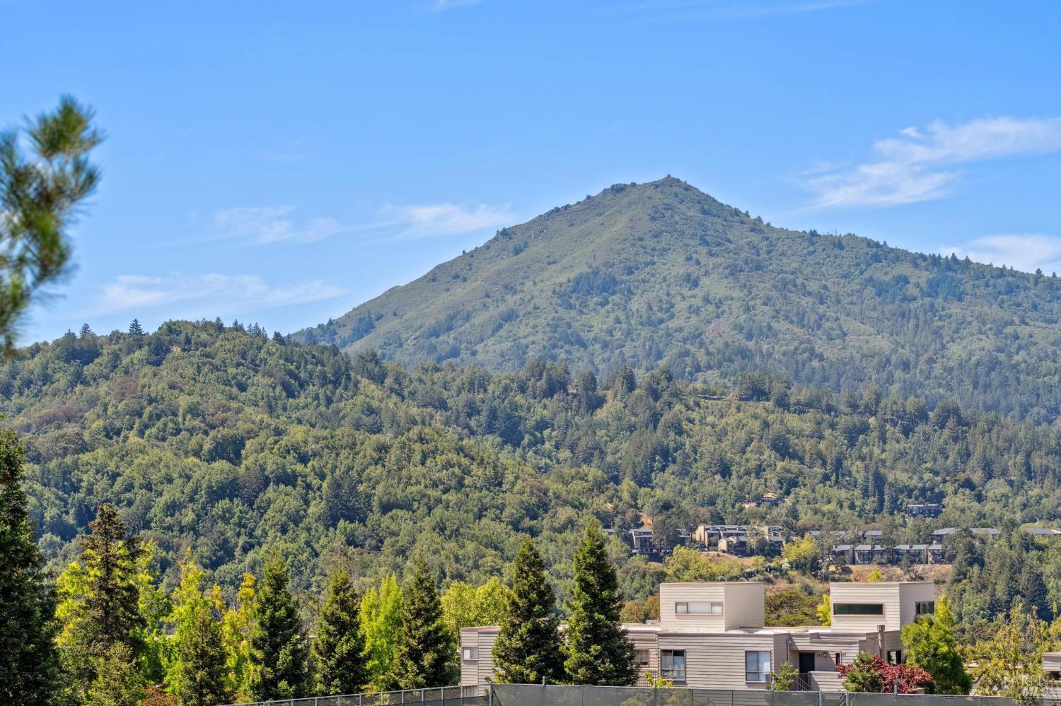 Detail Gallery Image 51 of 51 For 955 via Casitas Unkn, Greenbrae,  CA 94904 - 2 Beds | 2 Baths