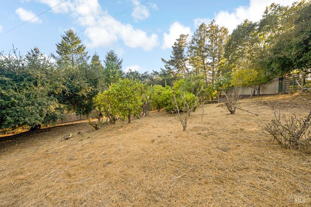 Detail Gallery Image 43 of 46 For 2801 Gravenstein Hwy, Sebastopol,  CA 95472 - 3 Beds | 3 Baths