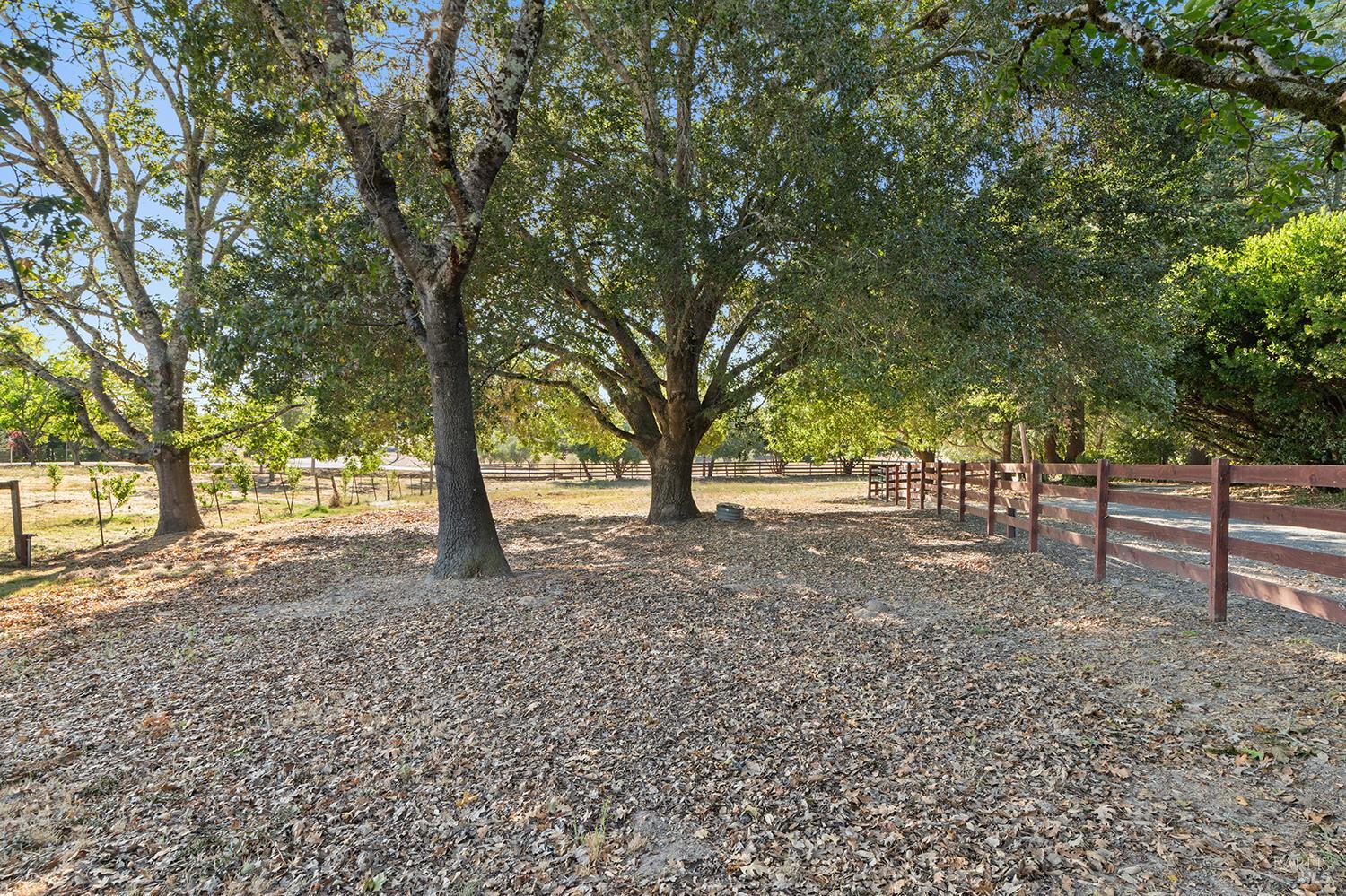 Detail Gallery Image 51 of 65 For 3949 Vine Hill Rd, Sebastopol,  CA 95472 - 5 Beds | 4 Baths