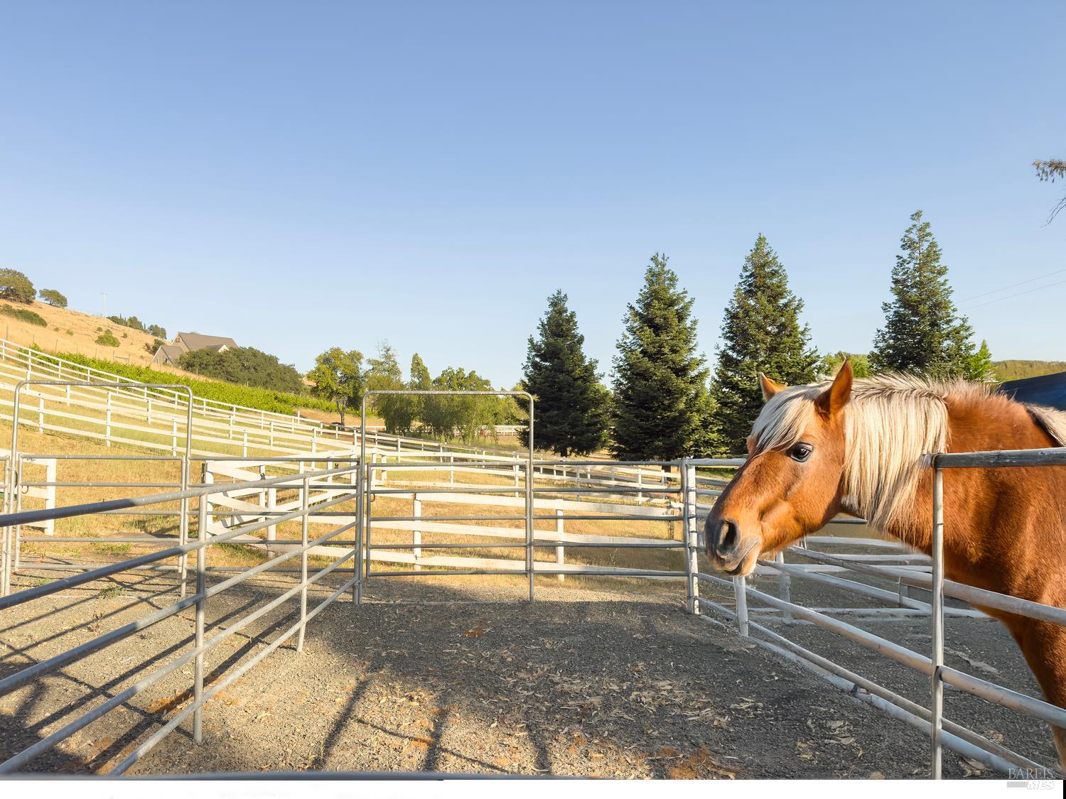 Detail Gallery Image 75 of 95 For 4560 Lovall Valley Loop Rd, Sonoma,  CA 95476 - 3 Beds | 4 Baths