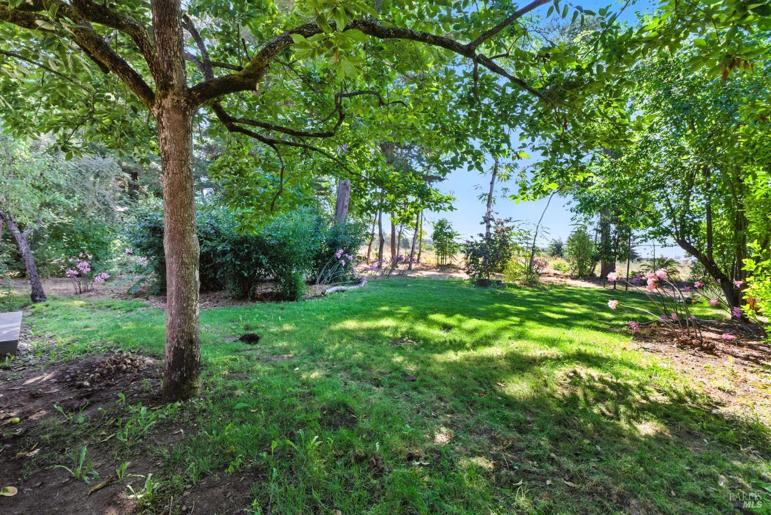 Detail Gallery Image 56 of 63 For 6750 Petaluma Hill Rd, Penngrove,  CA 94951 - 3 Beds | 2 Baths