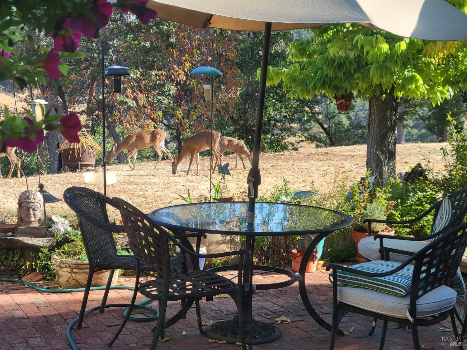 Detail Gallery Image 48 of 49 For 1500 Deerwood Dr, Ukiah,  CA 95482 - 3 Beds | 3 Baths