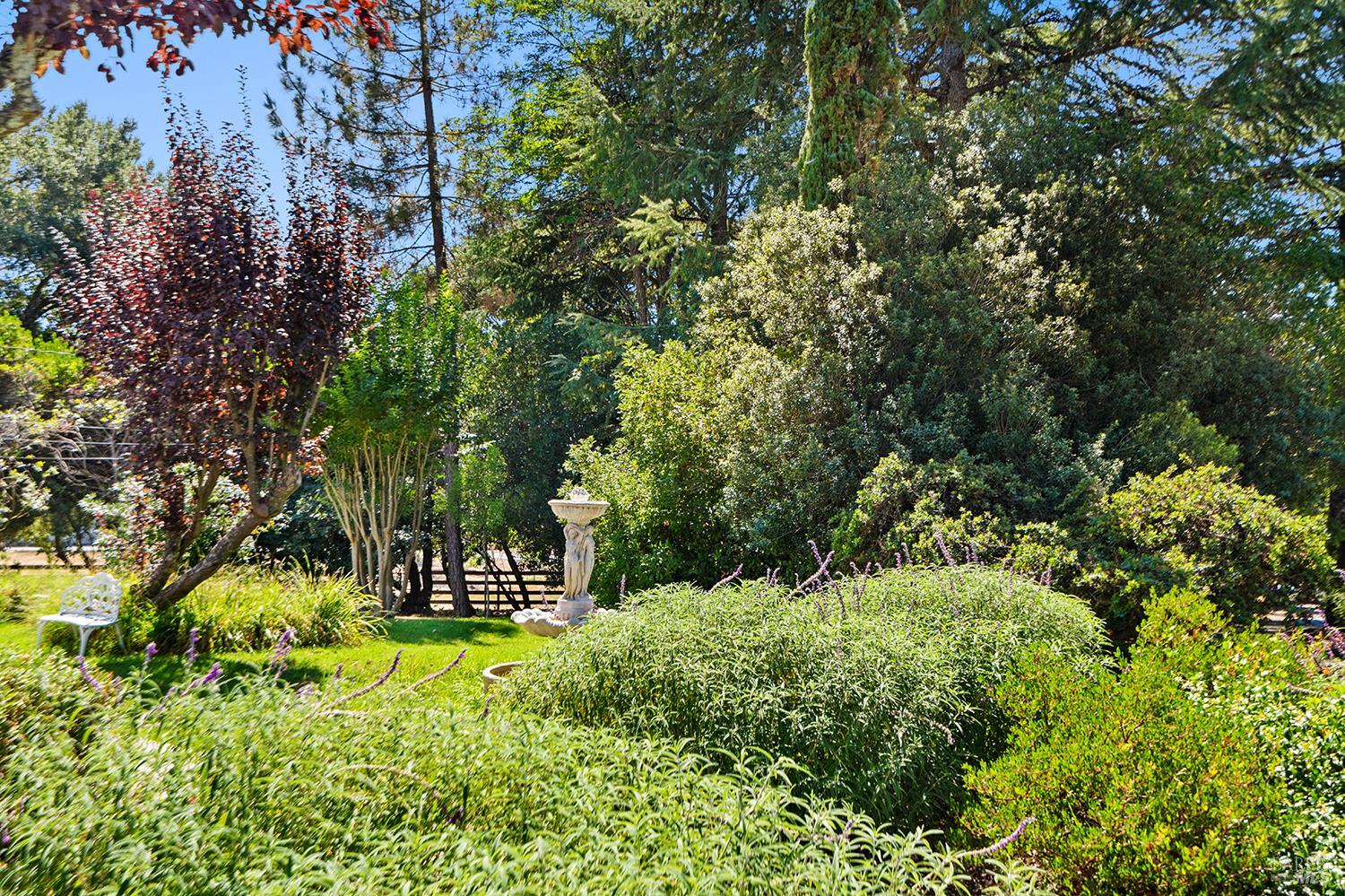 Detail Gallery Image 4 of 65 For 3949 Vine Hill Rd, Sebastopol,  CA 95472 - 5 Beds | 4 Baths