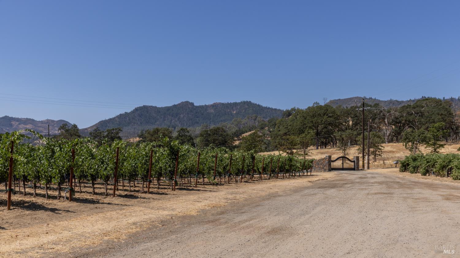 Detail Gallery Image 15 of 17 For 0 Aetna Springs Ln, Pope Valley,  CA 94567 - – Beds | – Baths
