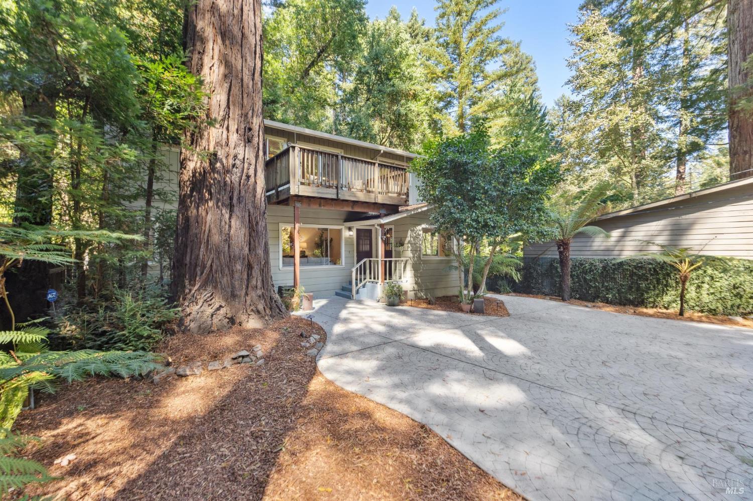 Detail Gallery Image 8 of 44 For 246 Madrone Ave, Larkspur,  CA 94939 - 4 Beds | 2 Baths