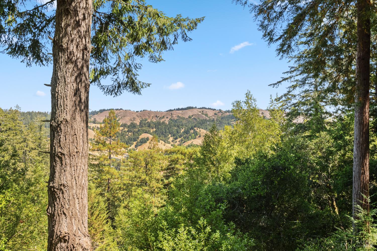 Detail Gallery Image 28 of 53 For 51 Juniper Ave, San Geronimo,  CA 94963 - 4 Beds | 3 Baths